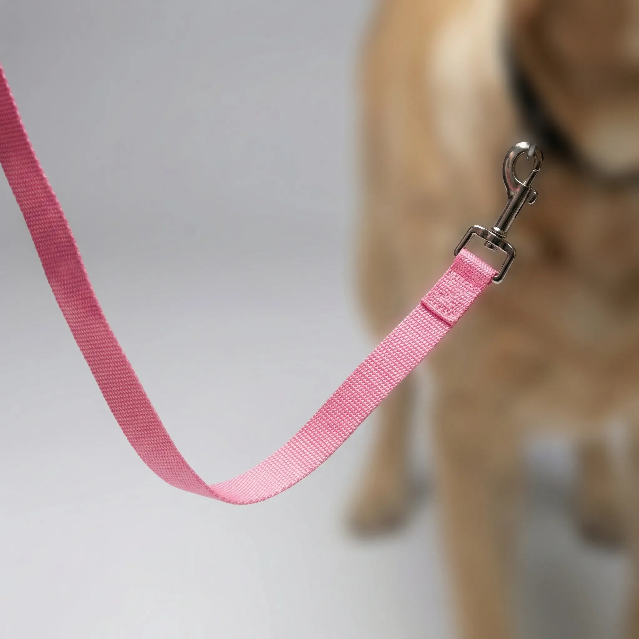 Nordspur | Pawlyne Long-Line Dog Training Lead