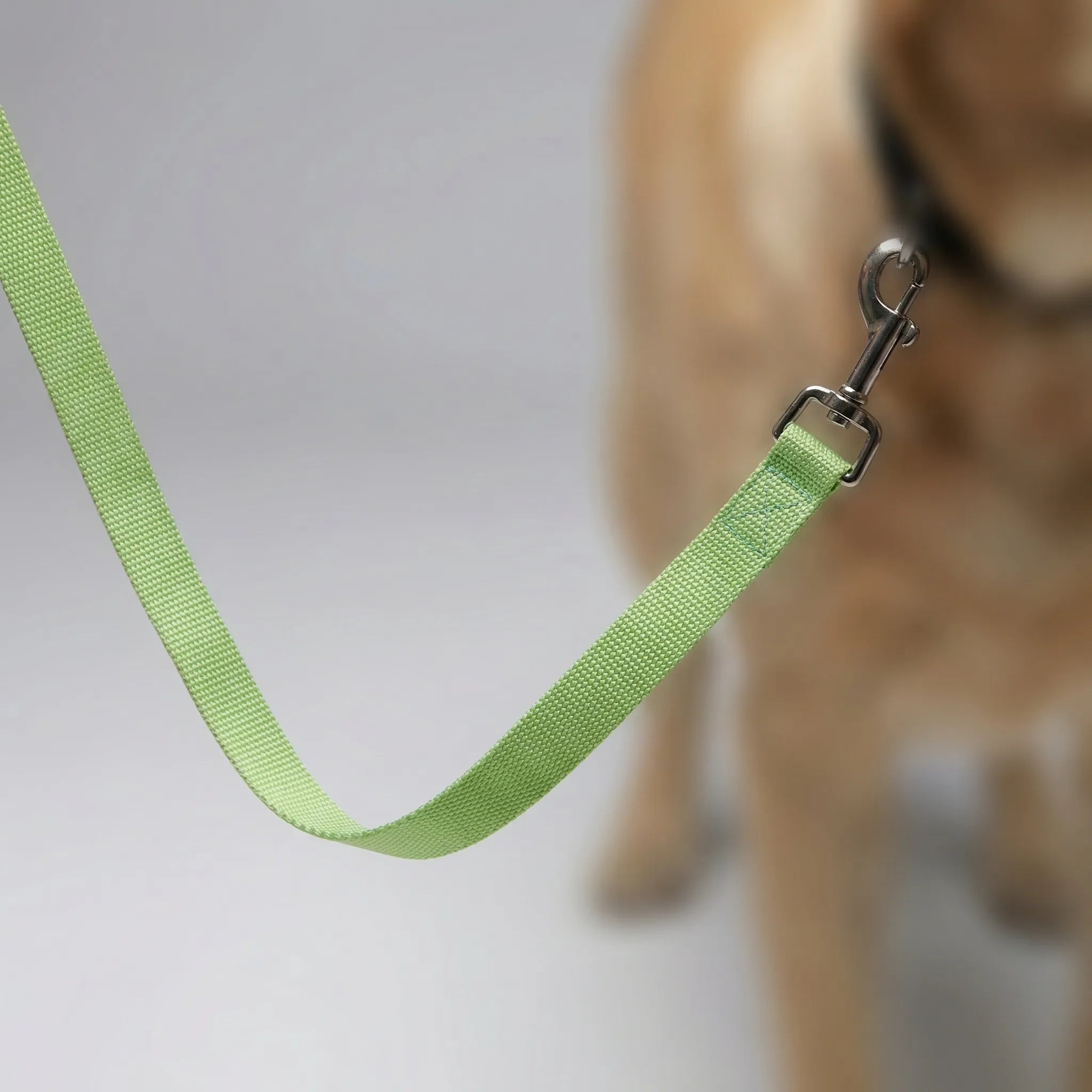 Nordspur | Pawlyne Long-Line Dog Training Lead
