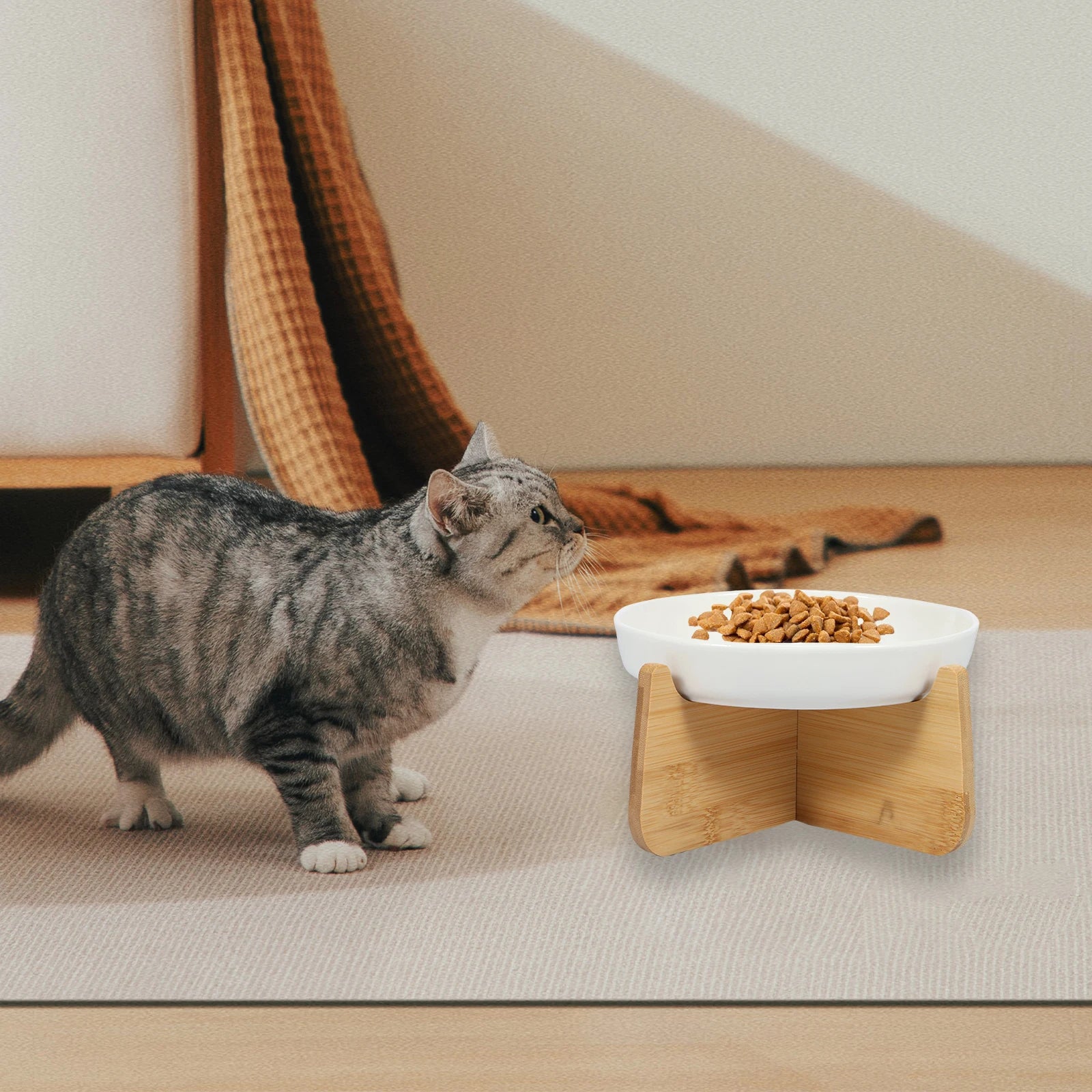 Nordspur | PawsDine Elevated Slow Feeder Cat Bowl
