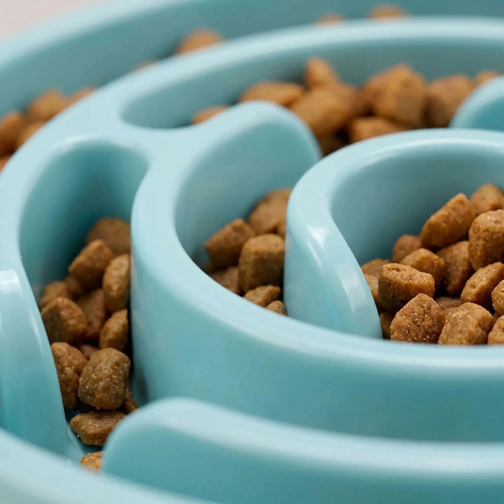 Nordspur | PawsNosh Interactive Puzzle Slow Feeder Bowl