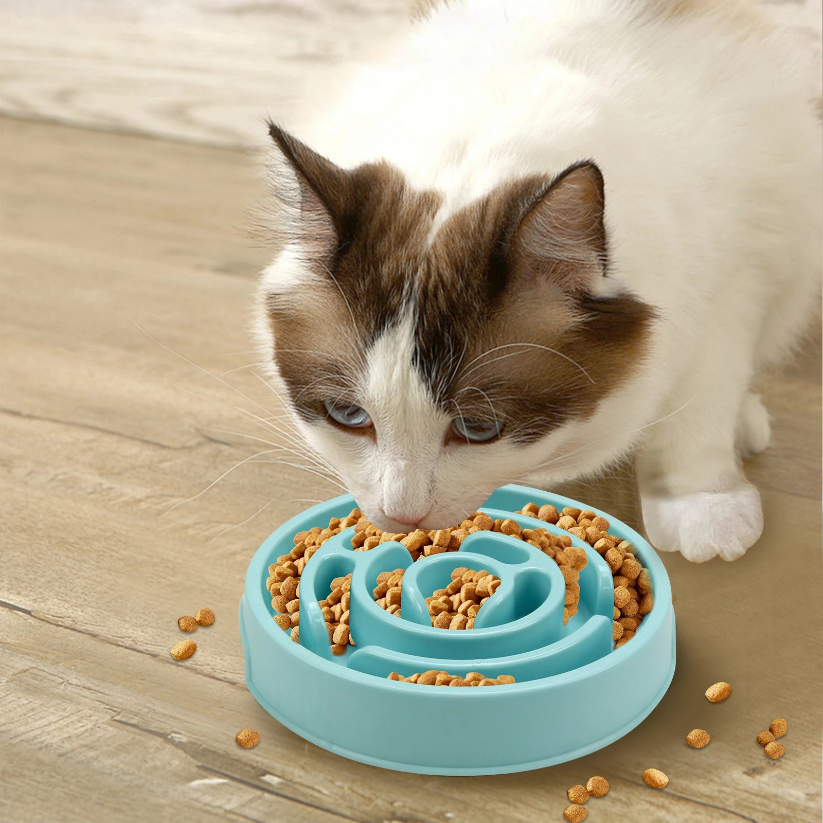 Nordspur | PawsNosh Interactive Puzzle Slow Feeder Bowl