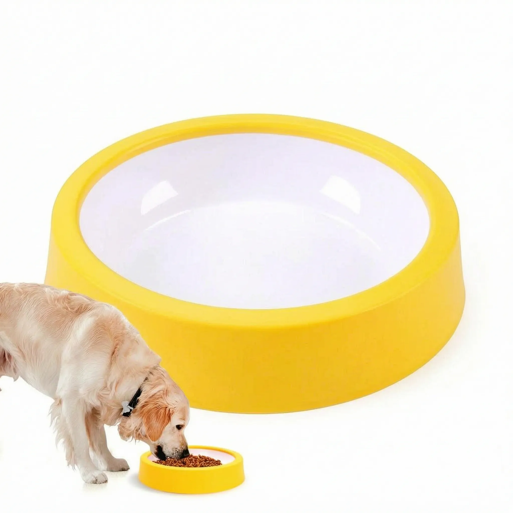 Nordspur | PawsNosh Interactive Puzzle Slow Feeder Bowl