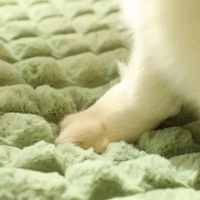 Nordspur | Pawselle Orthopedic Memory Foam Pet Bed