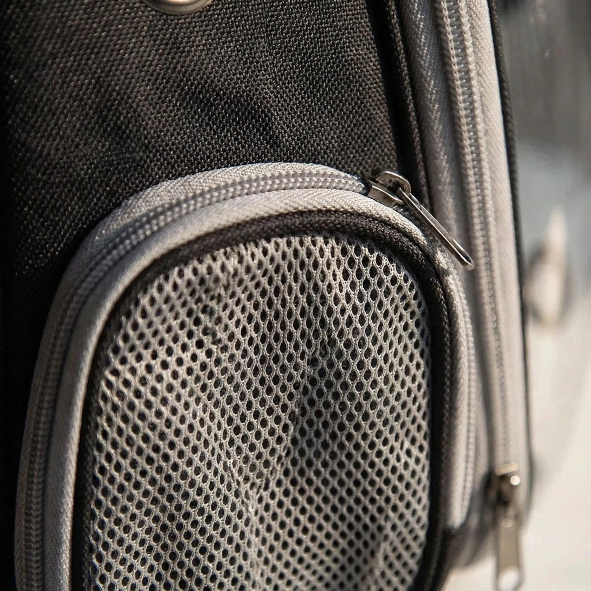 Nordspur | Pawsule Transparent Capsule Pet Carrier Backpack