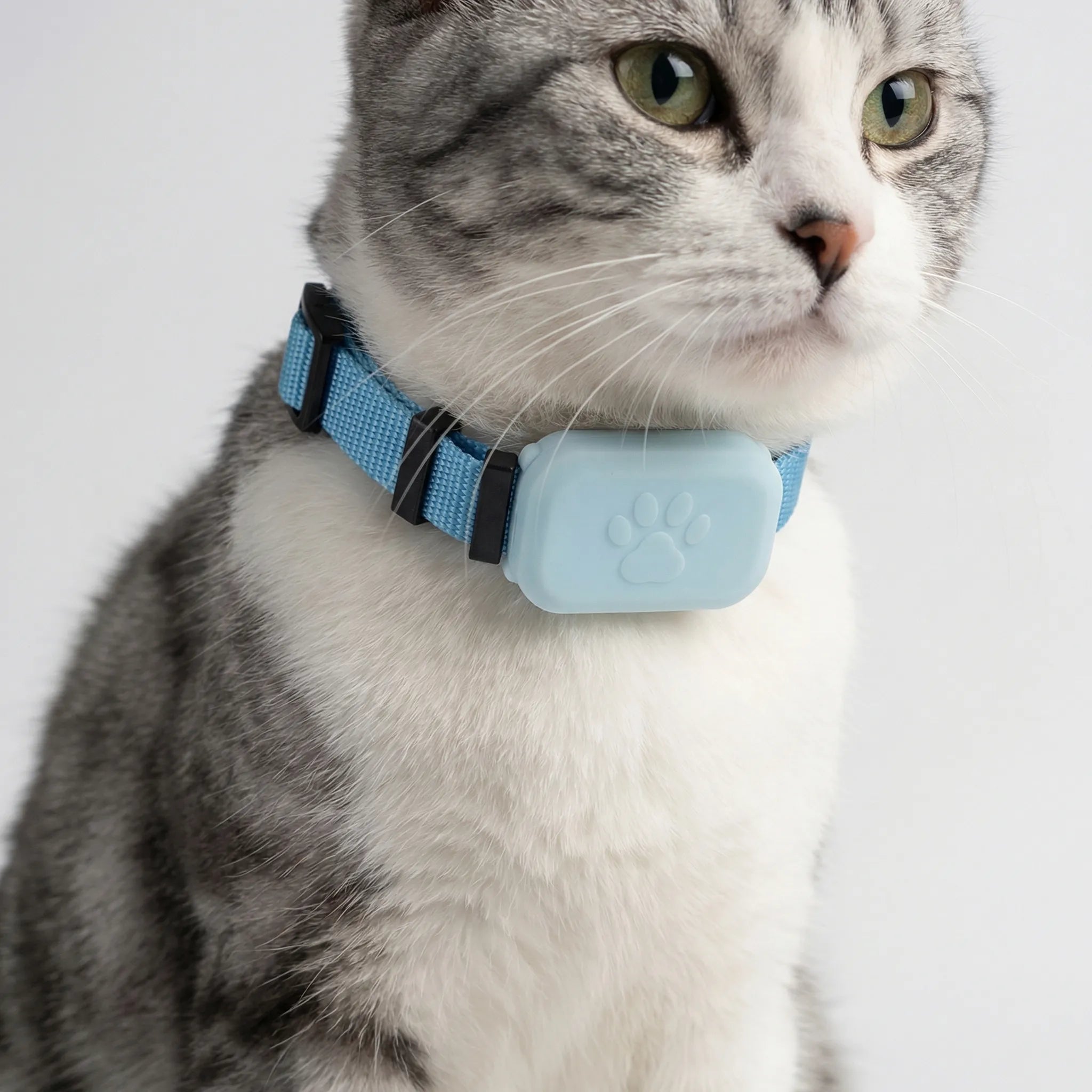 Nordspur | Pawtrackr Compact Bluetooth GPS Pet Collar Tracker