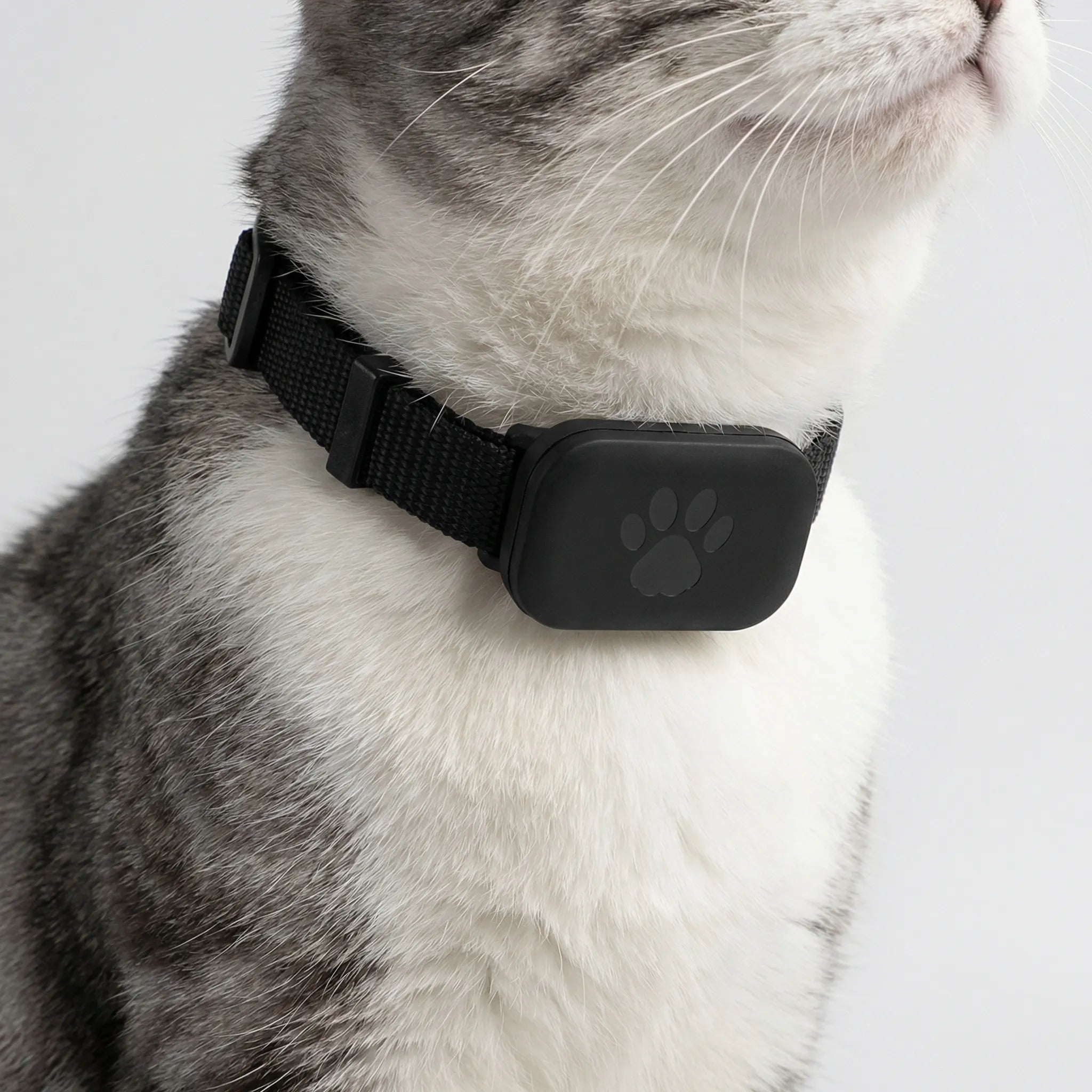 Nordspur | Pawtrackr Compact Bluetooth GPS Pet Collar Tracker