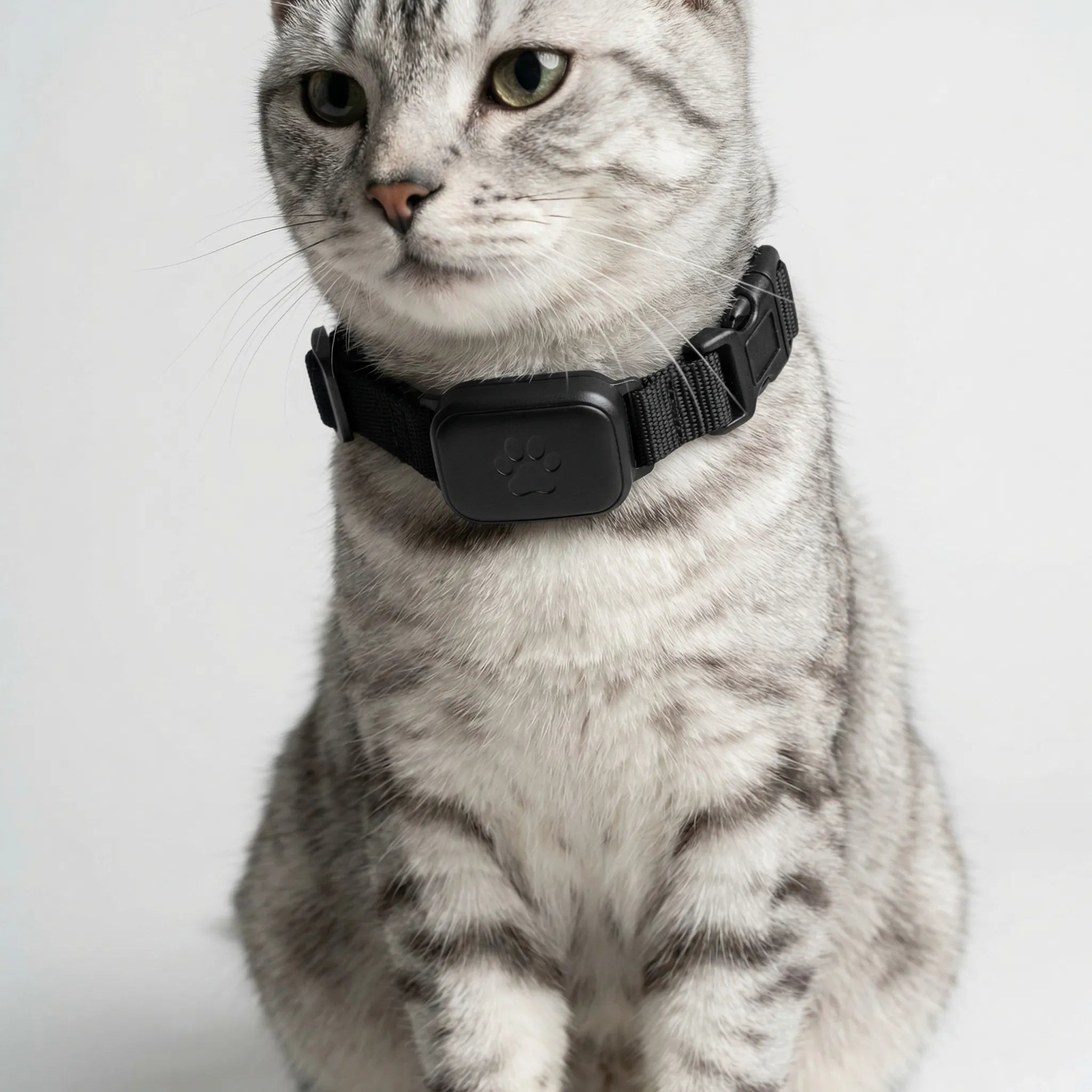 Nordspur | Pawtrackr Compact Bluetooth GPS Pet Collar Tracker