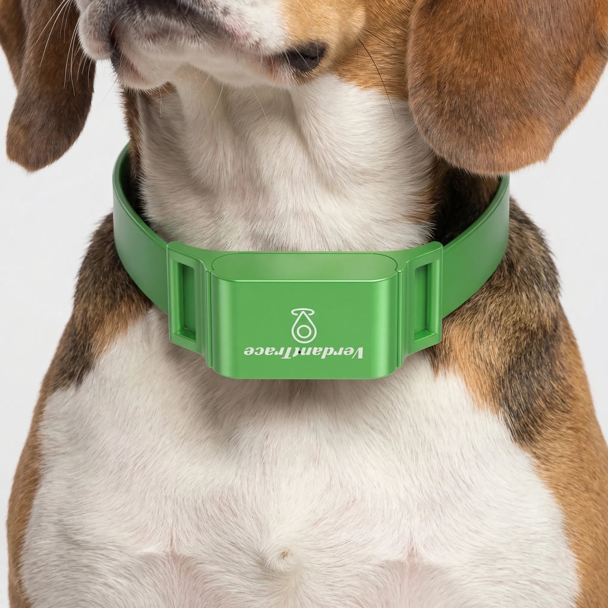 Nordspur | Pawtraq Waterproof Mini GPS Pet Collar