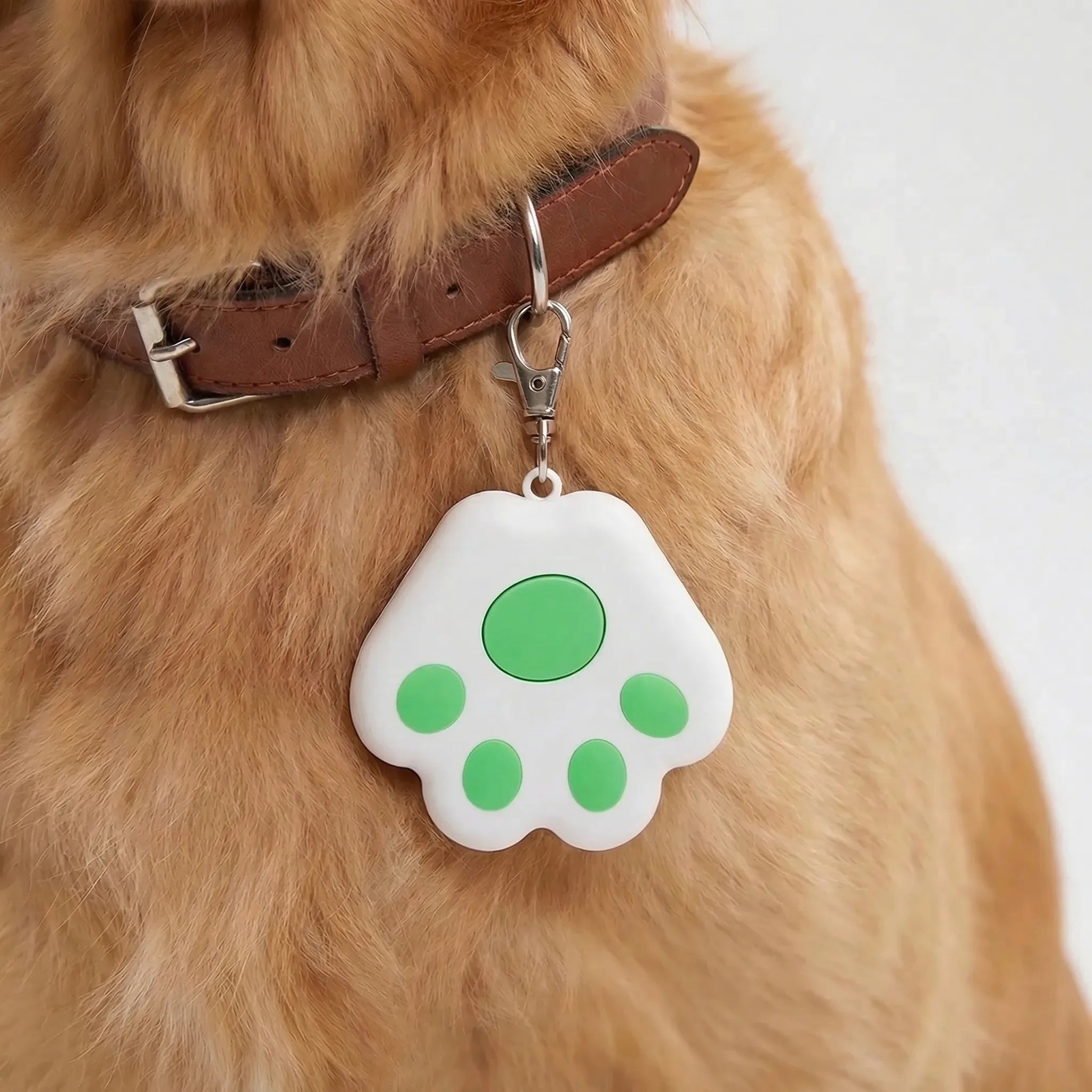 Nordspur | Pawtrax Compact Bluetooth Anti-Lost Tracker