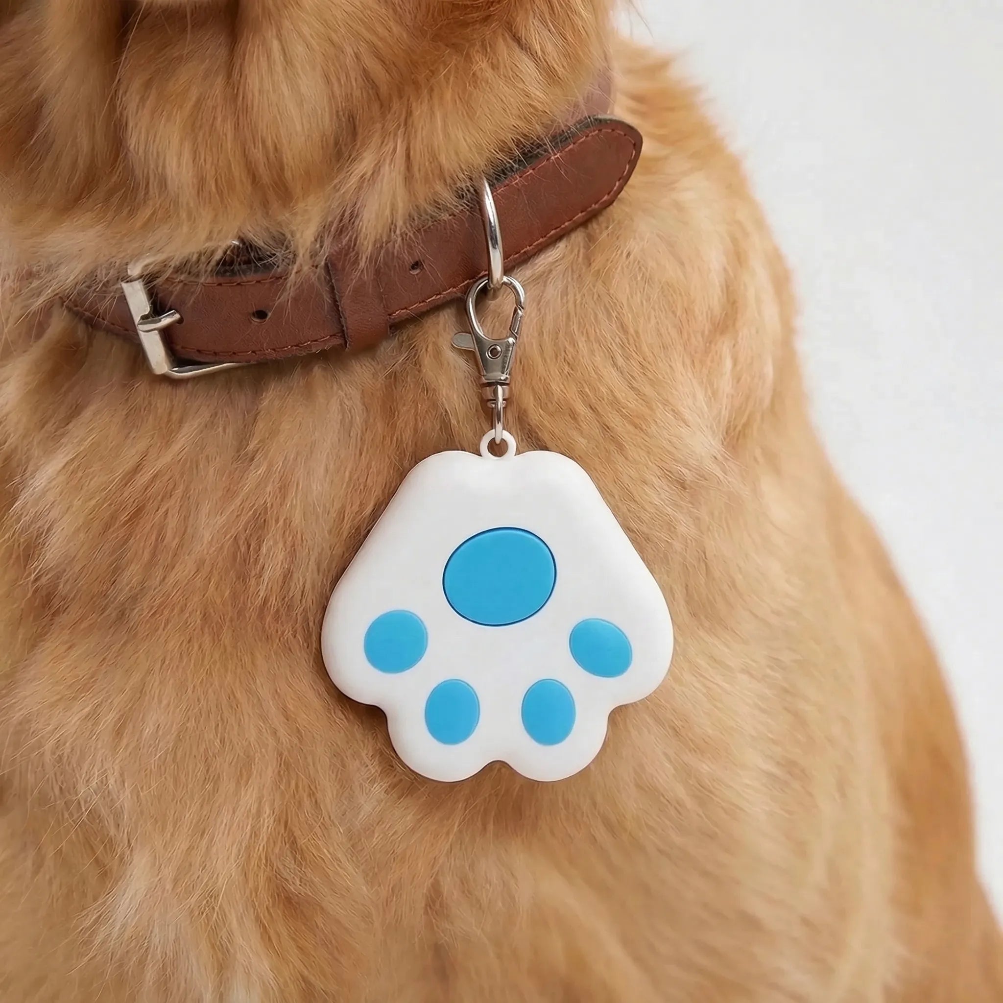 Nordspur | Pawtrax Compact Bluetooth Anti-Lost Tracker