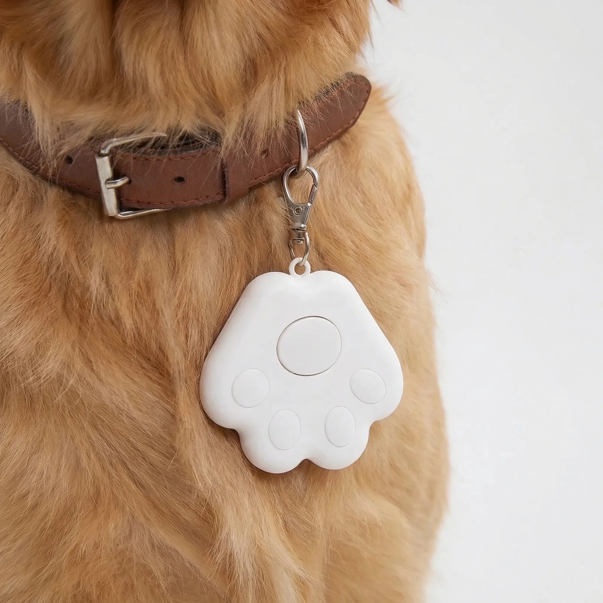 Nordspur | Pawtrax Compact Bluetooth Anti-Lost Tracker