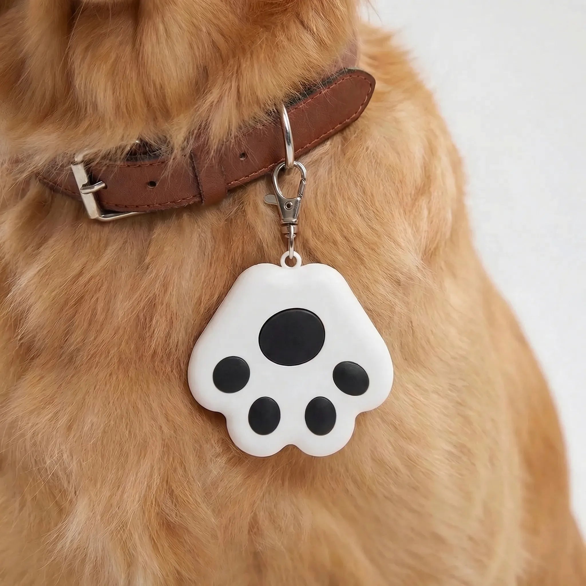 Nordspur | Pawtrax Compact Bluetooth Anti-Lost Tracker
