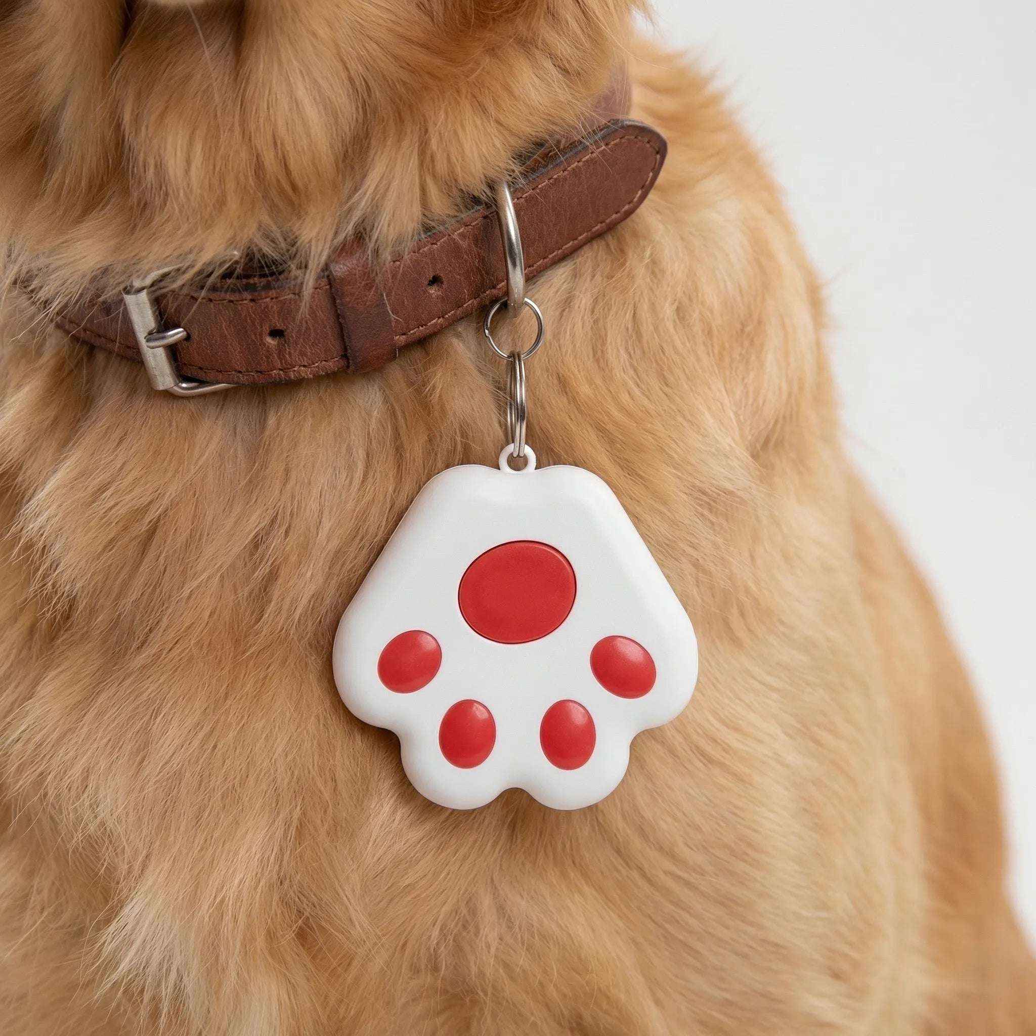 Nordspur | Pawtrax Compact Bluetooth Anti-Lost Tracker