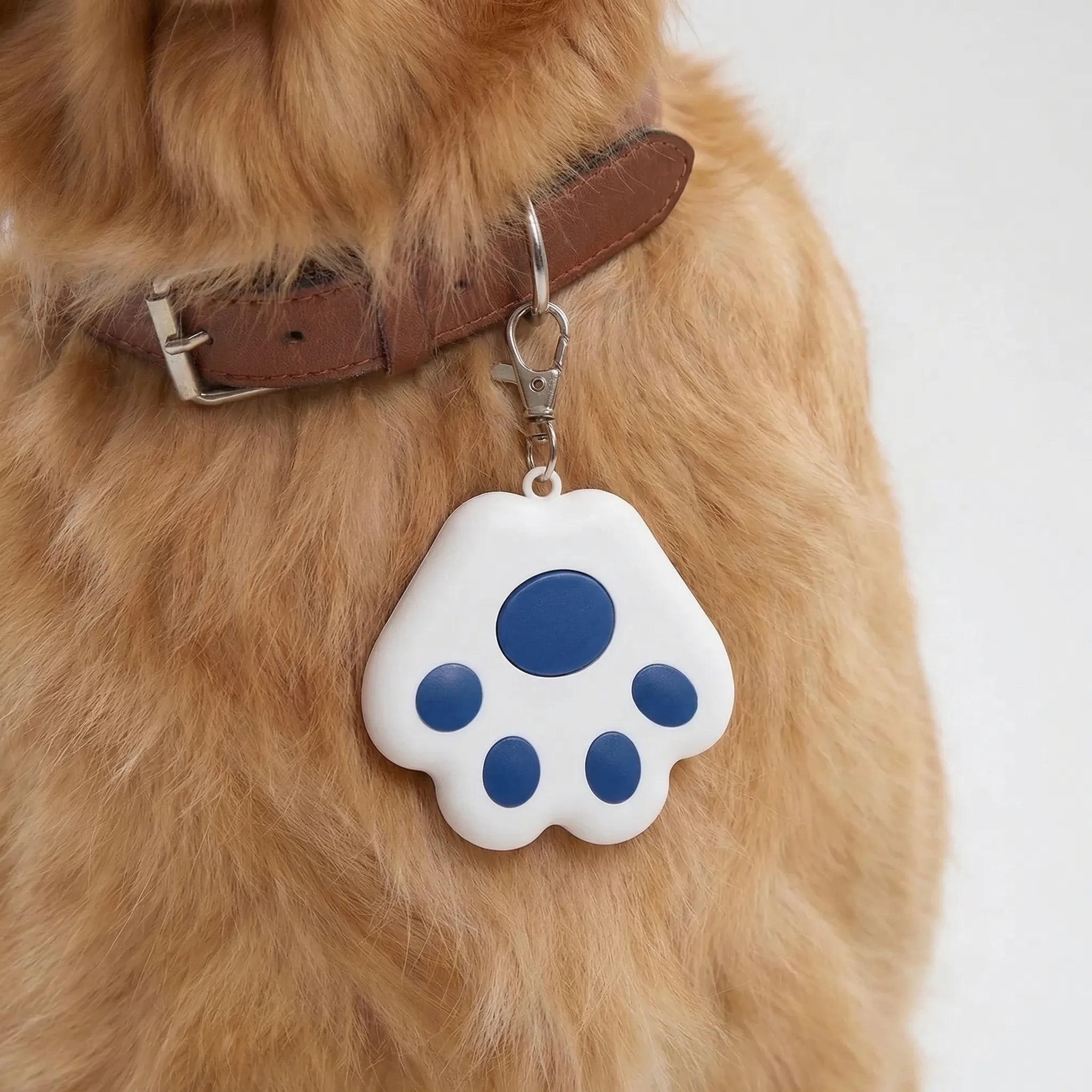 Nordspur | Pawtrax Compact Bluetooth Anti-Lost Tracker