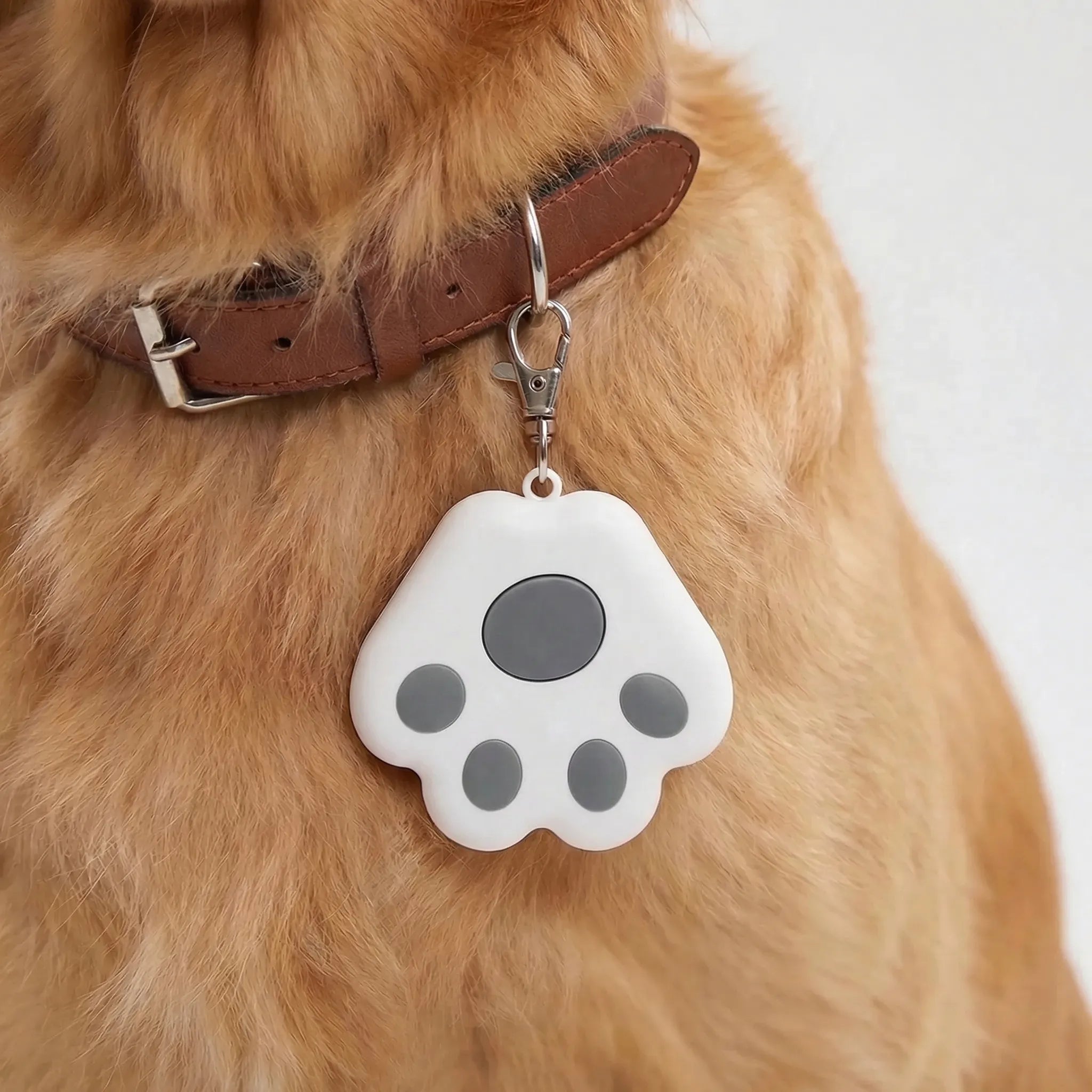 Nordspur | Pawtrax Compact Bluetooth Anti-Lost Tracker
