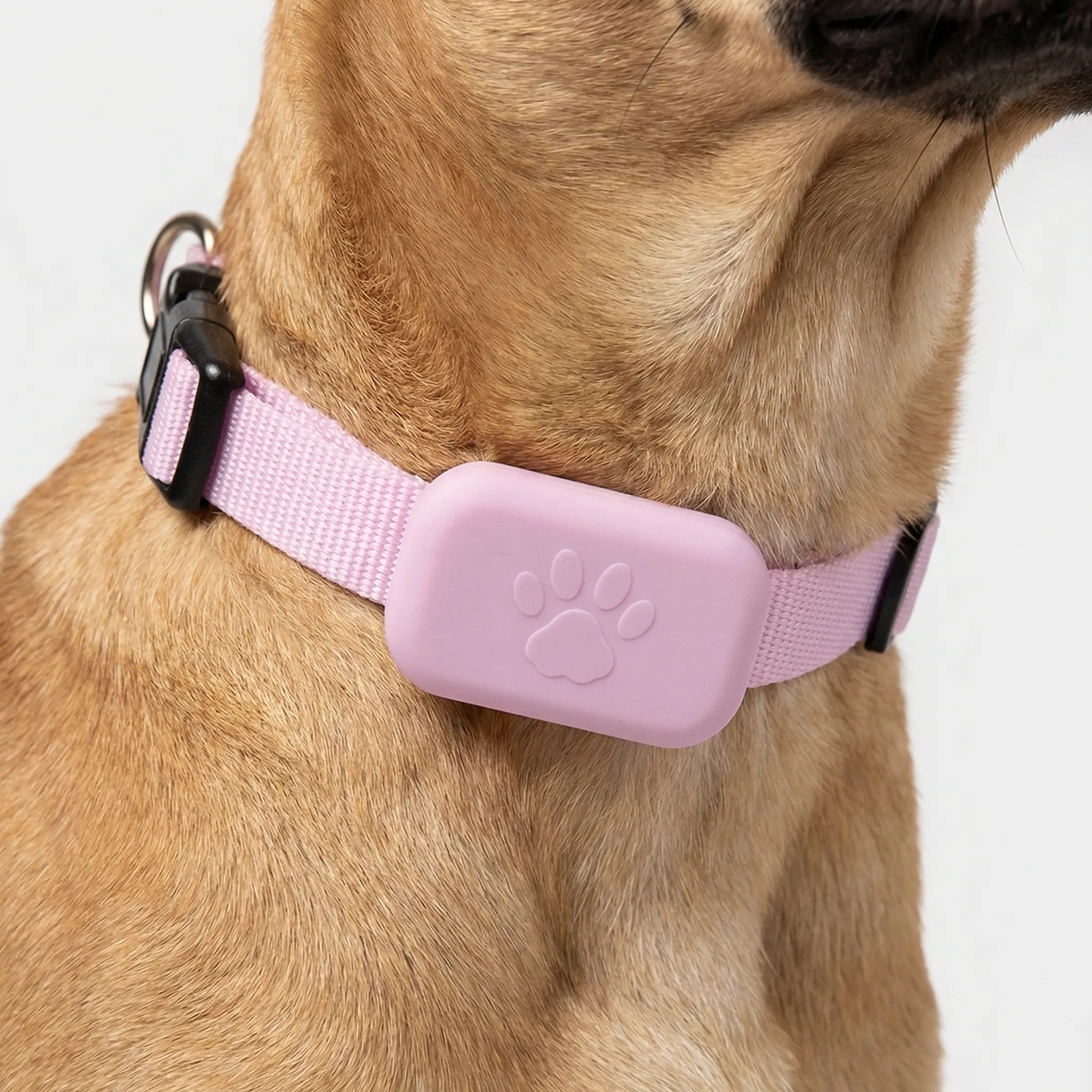 Nordspur | Pawtrax Waterproof Mini GPS Pet Collar Tracker