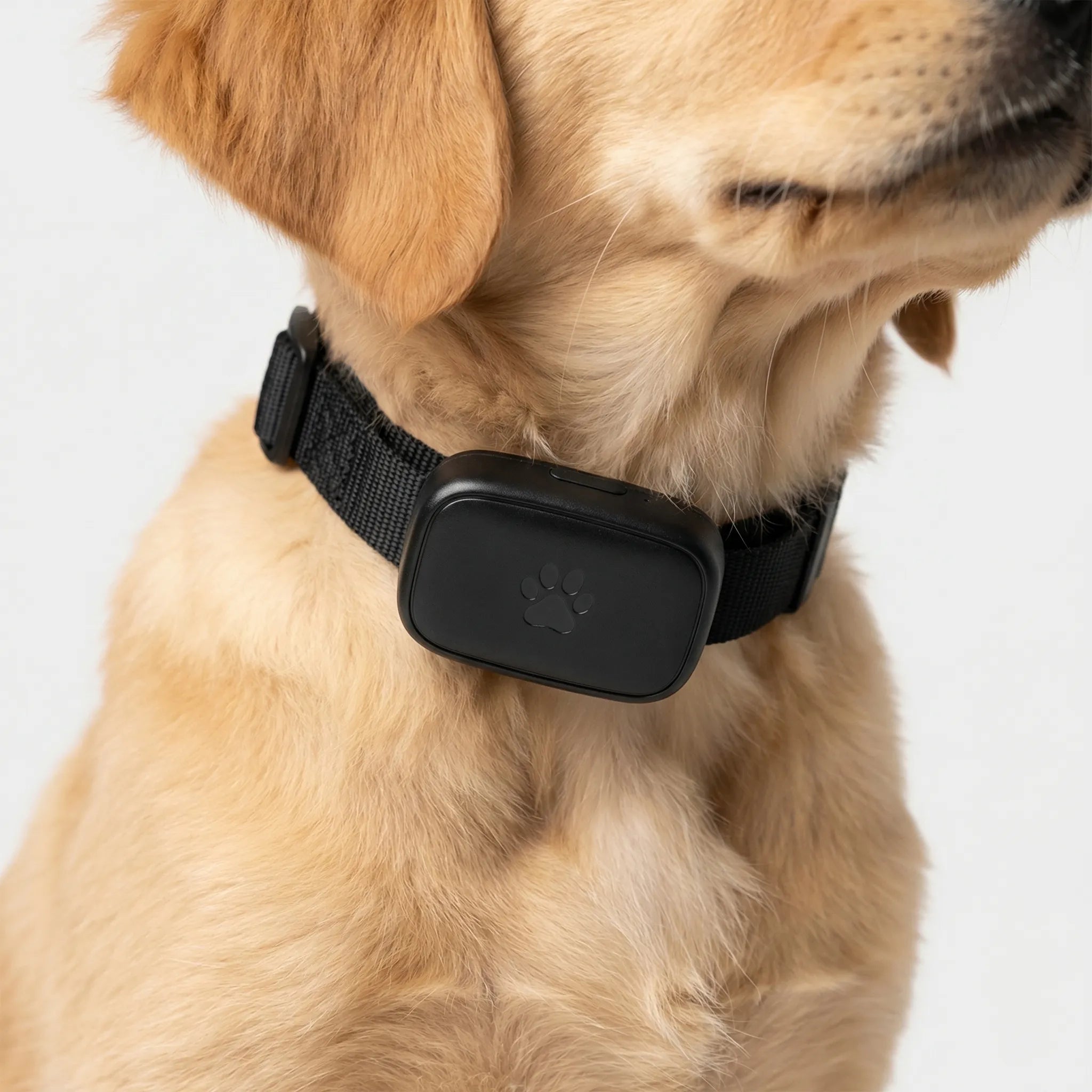 Nordspur | Pawtrax Waterproof Mini GPS Pet Collar Tracker