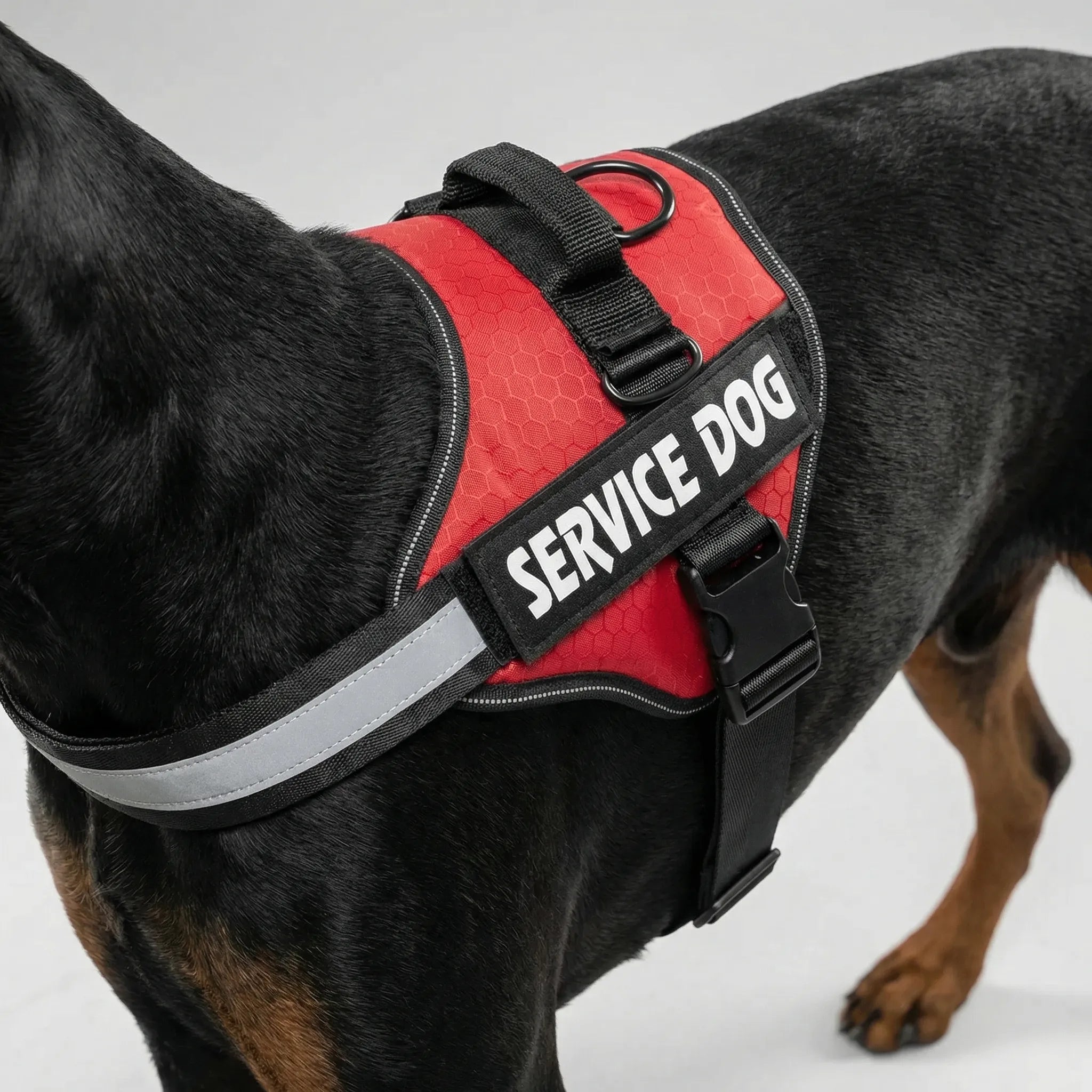 Nordspur | Pawvest Adjustable Chest Strap Dog Vest Harness