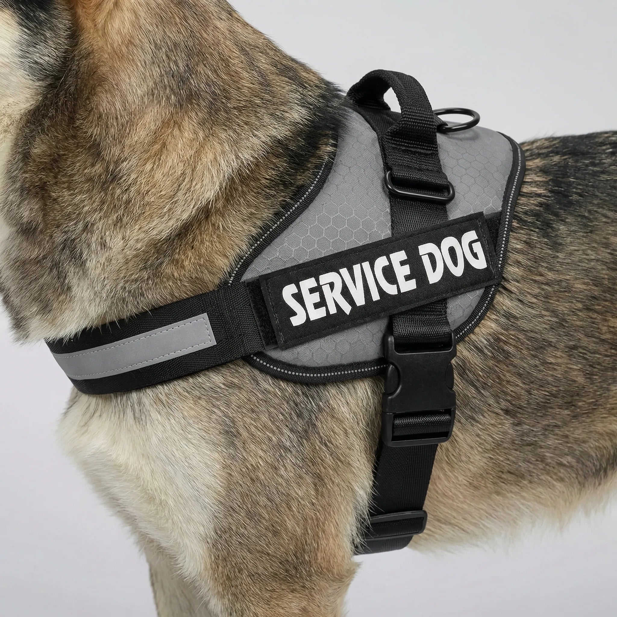 Nordspur | Pawvest Adjustable Chest Strap Dog Vest Harness
