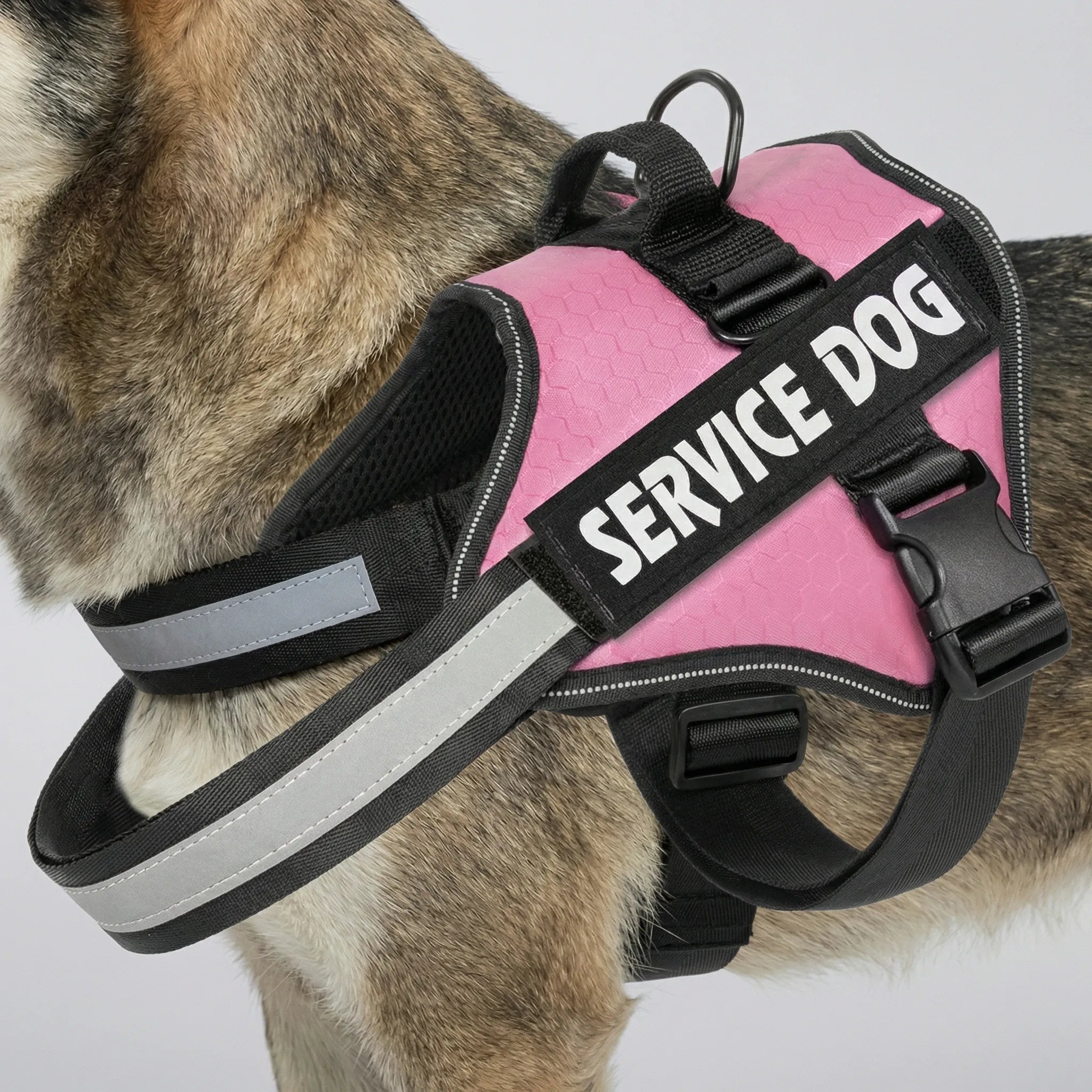 Nordspur | Pawvest Adjustable Chest Strap Dog Vest Harness