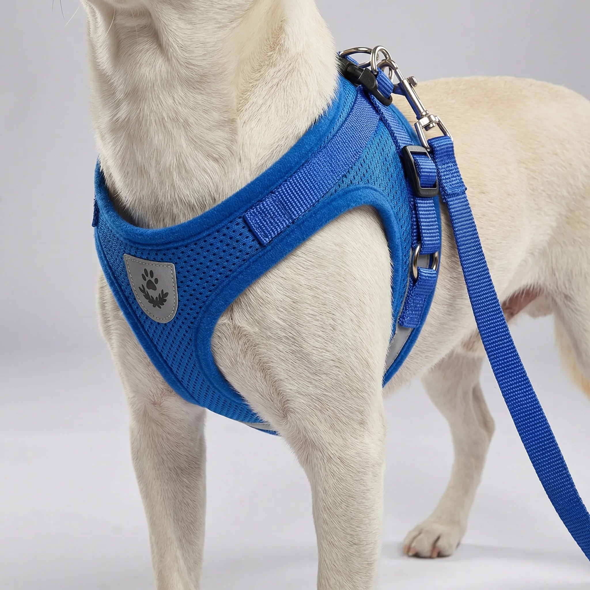 Nordspur | Pawvest Vest-Style Harness And Leash Set