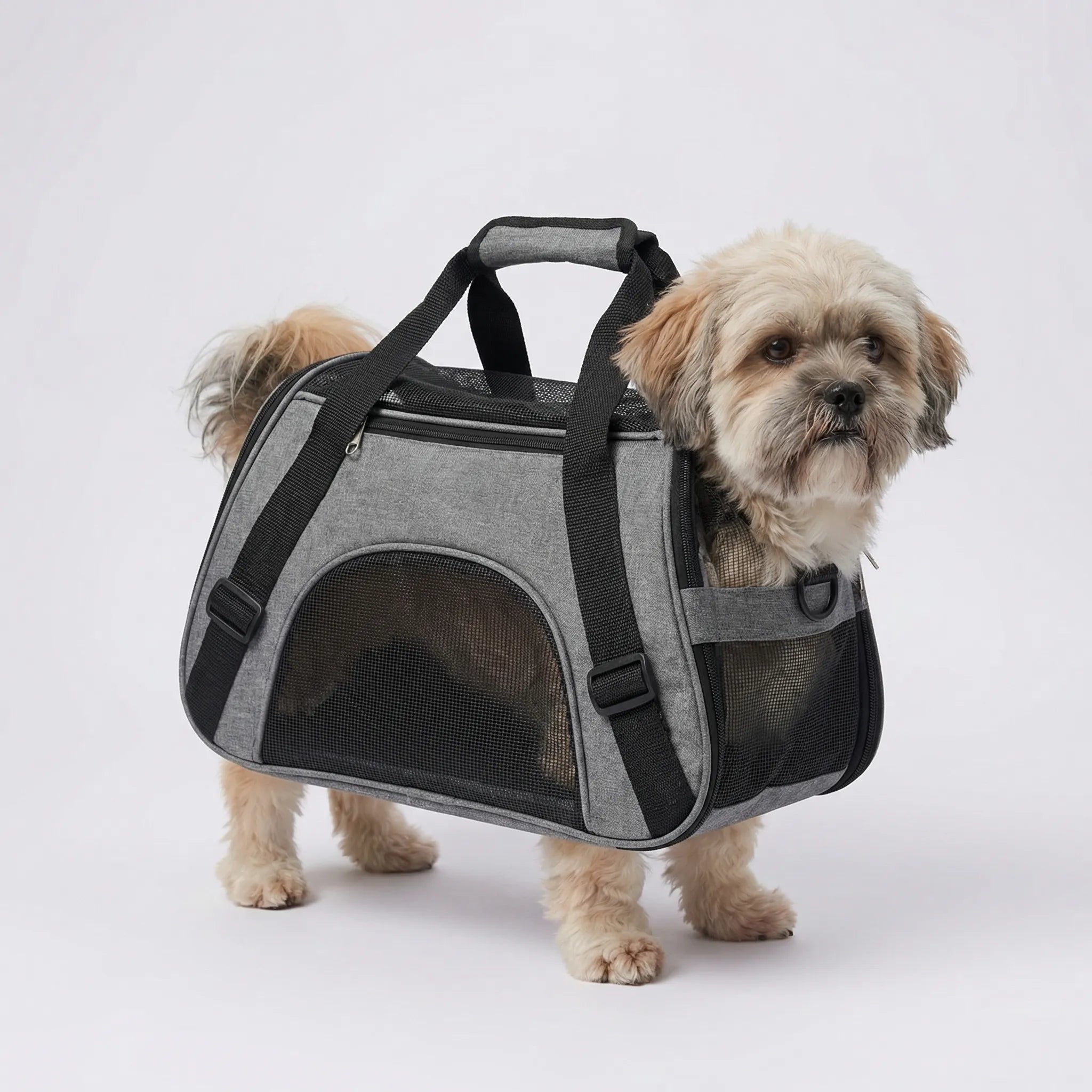 Nordspur | Petluxe Foldable Mesh Pet Carrier Bag