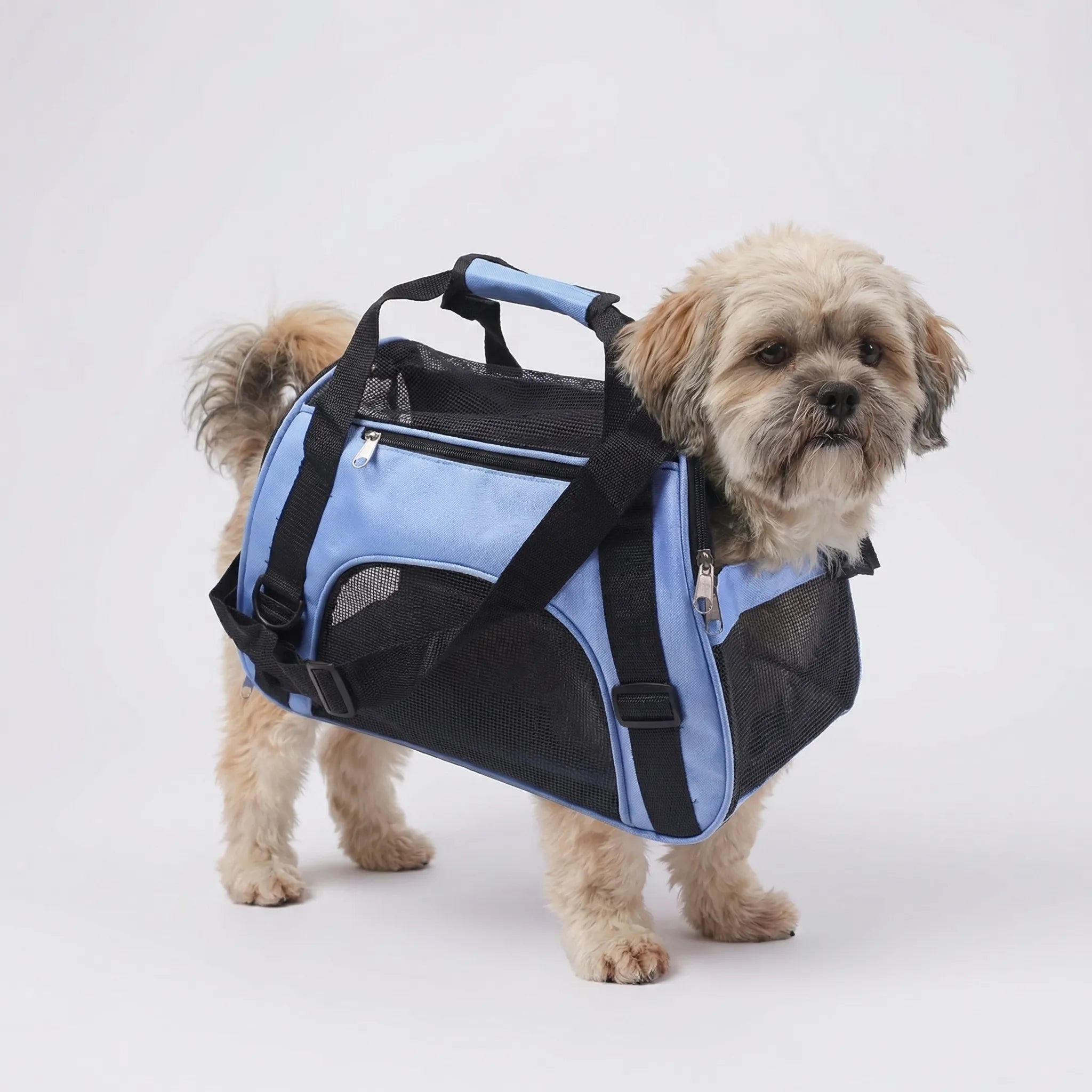 Nordspur | Petluxe Foldable Mesh Pet Carrier Bag