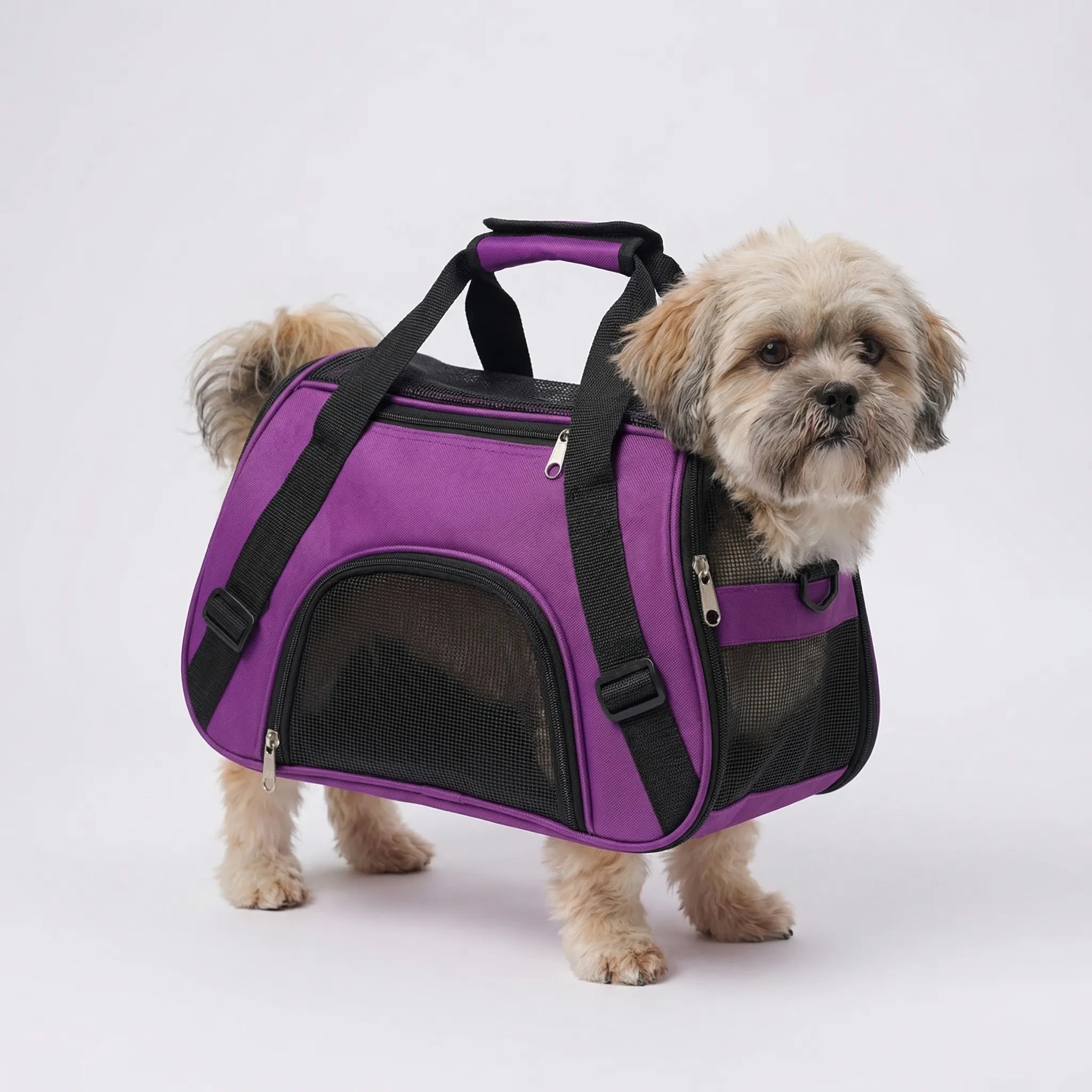 Nordspur | Petluxe Foldable Mesh Pet Carrier Bag