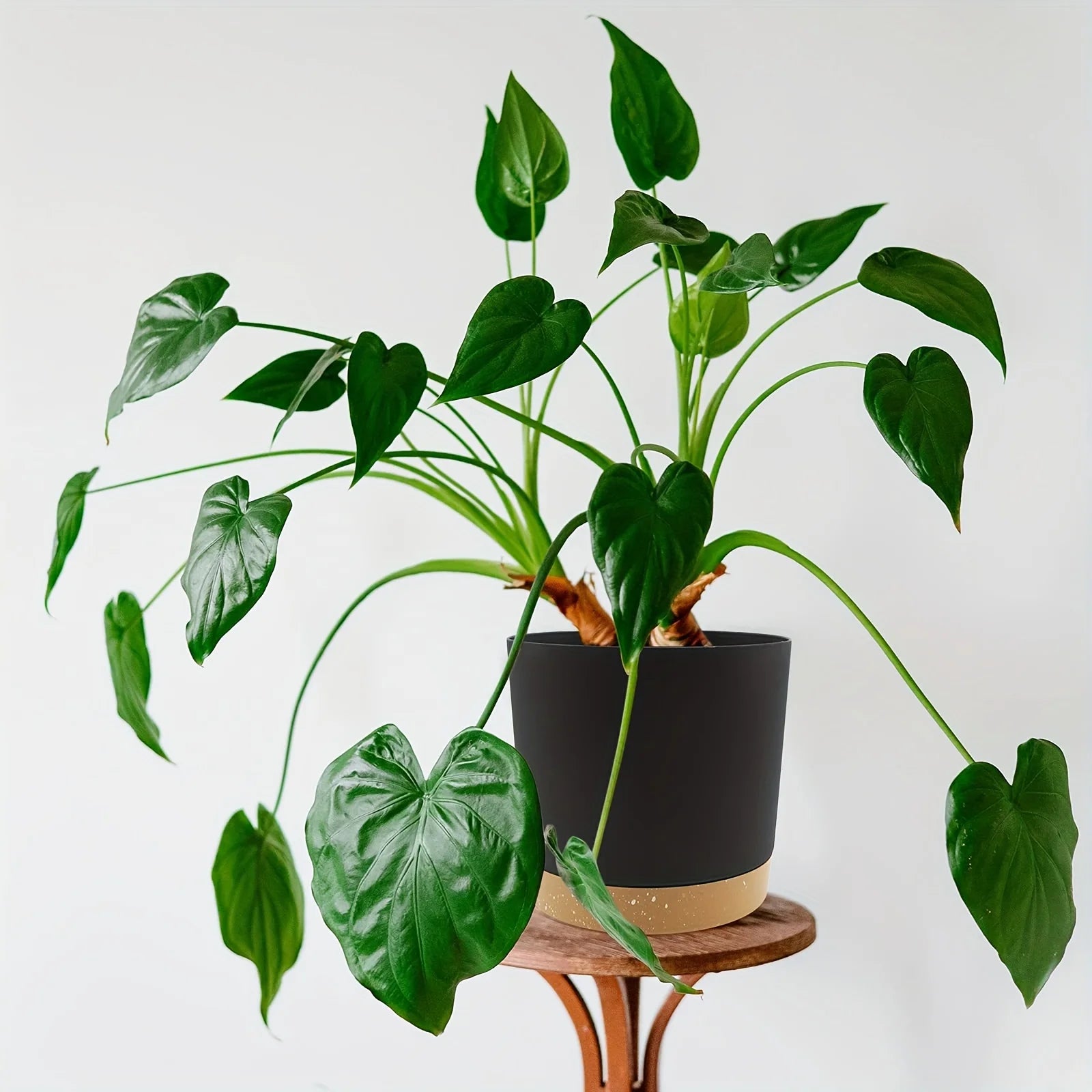 Nordspur | Plotbury Round Detachable-Base Plant Pot