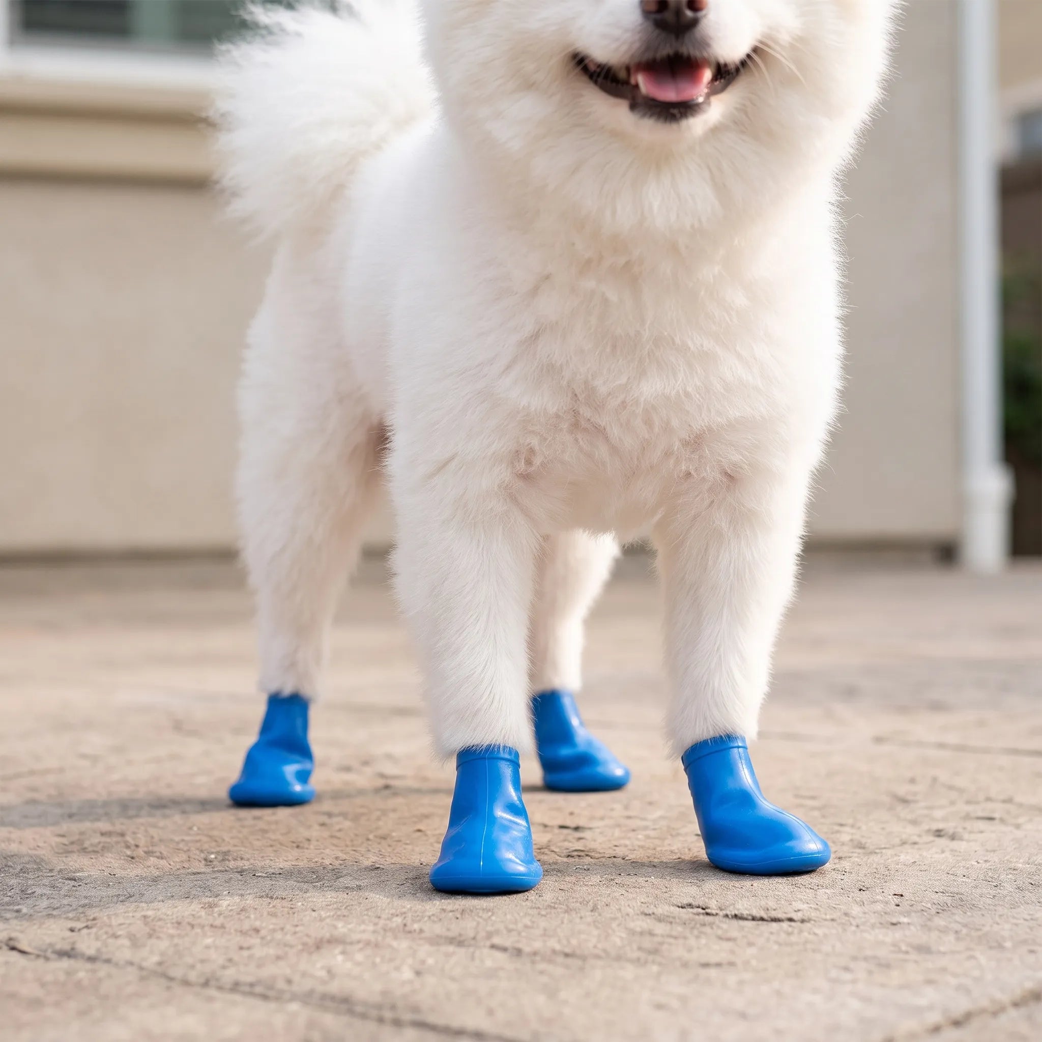 Nordspur | PuddlePaws Flexible Balloon Style Pet Boots