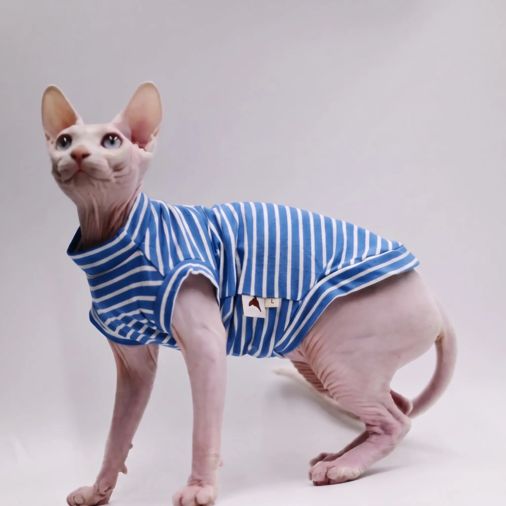 Nordspur | Purrweft Lightweight Summer Cat Vest