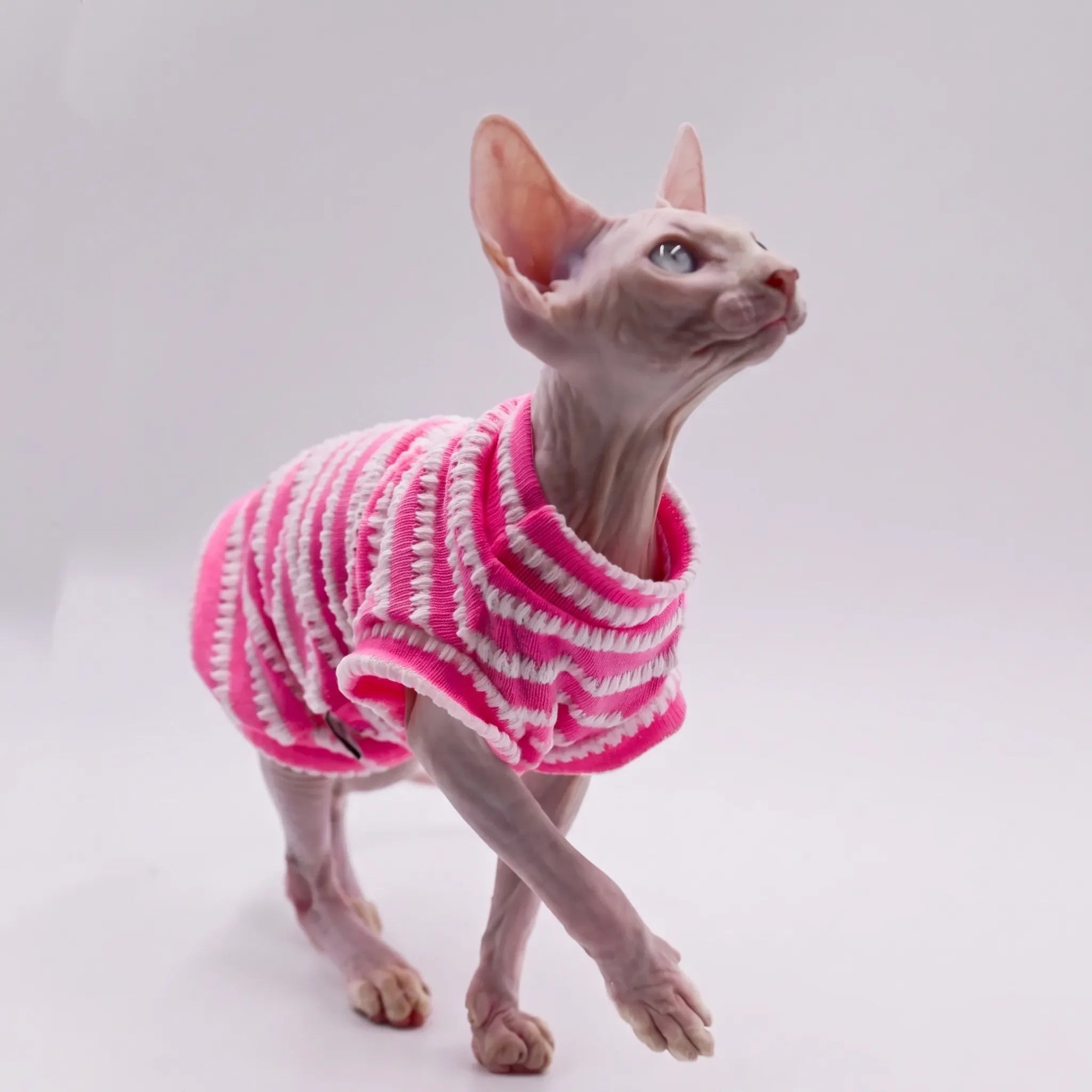 Nordspur | Purrweft Lightweight Summer Cat Vest