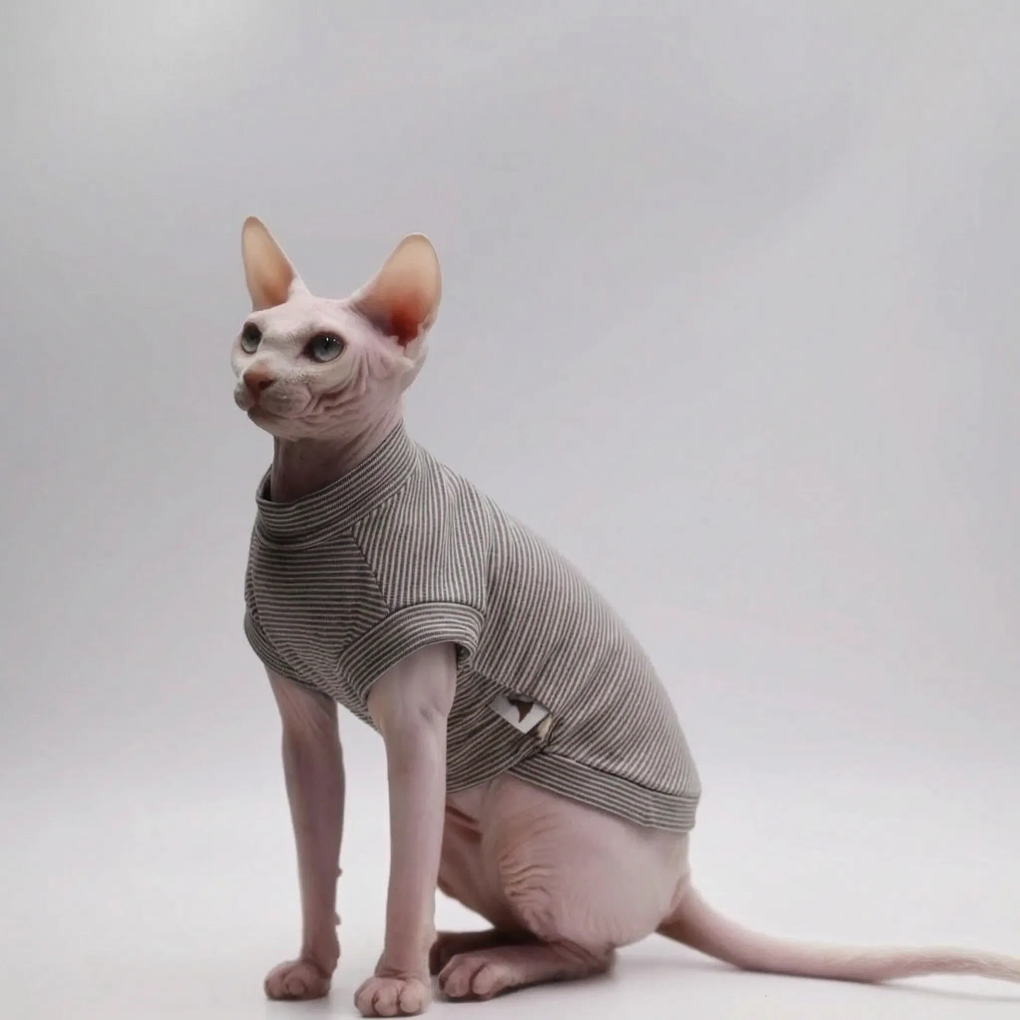 Nordspur | Purrweft Lightweight Summer Cat Vest