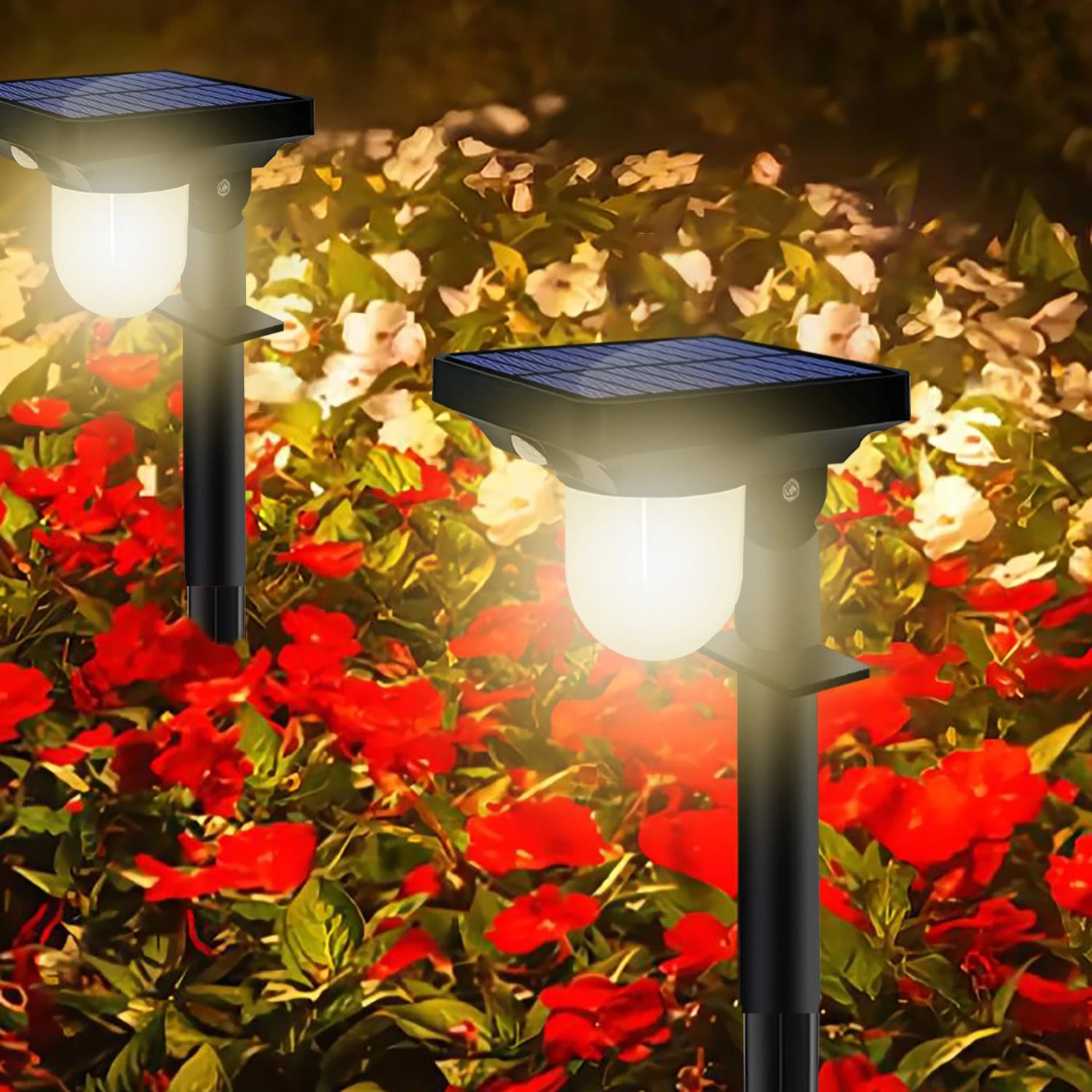 Nordspur | Radivex Solar Powered Outdoor Wall Lamp With Motion Sensor