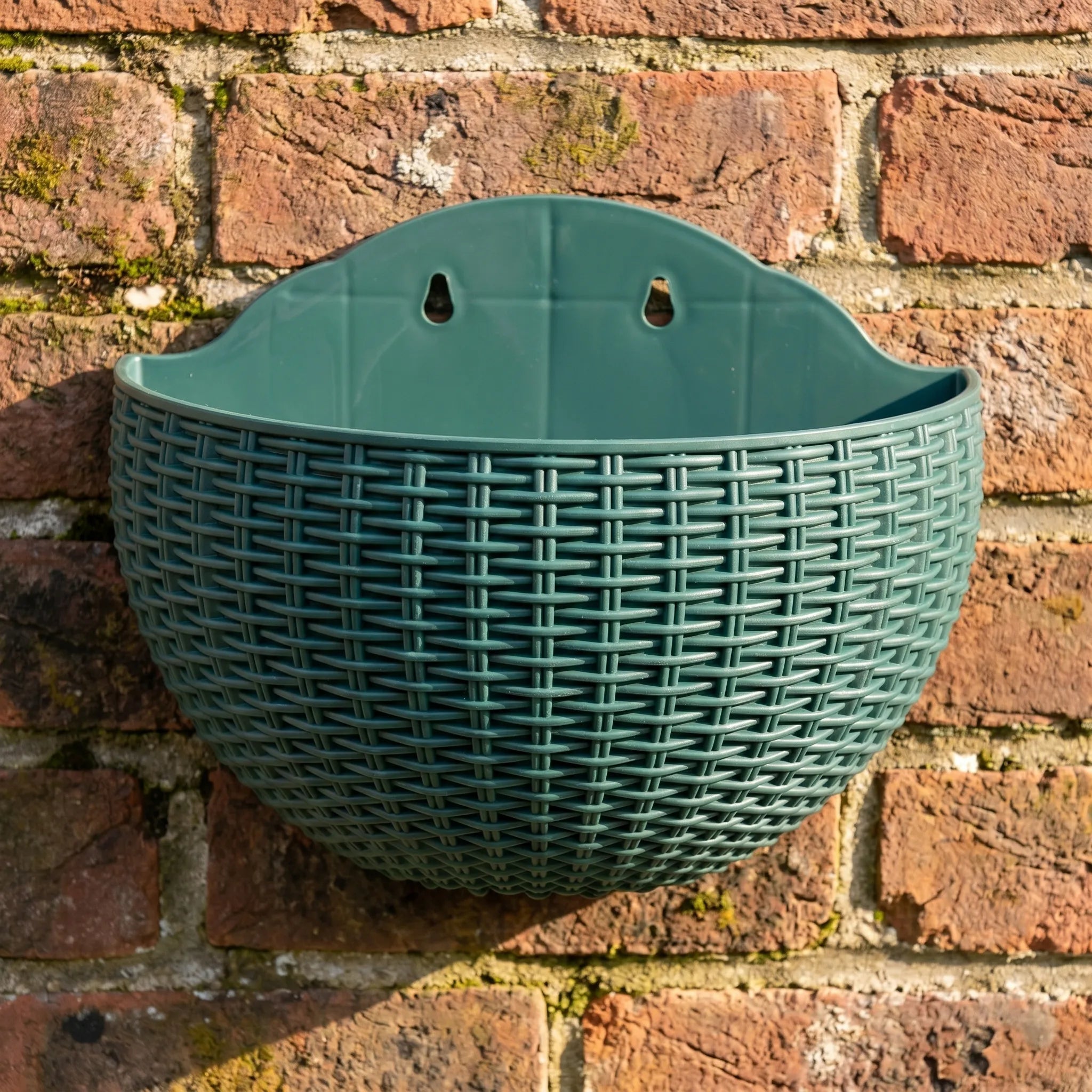Nordspur | Rattabloom Half-Round Hanging Planter