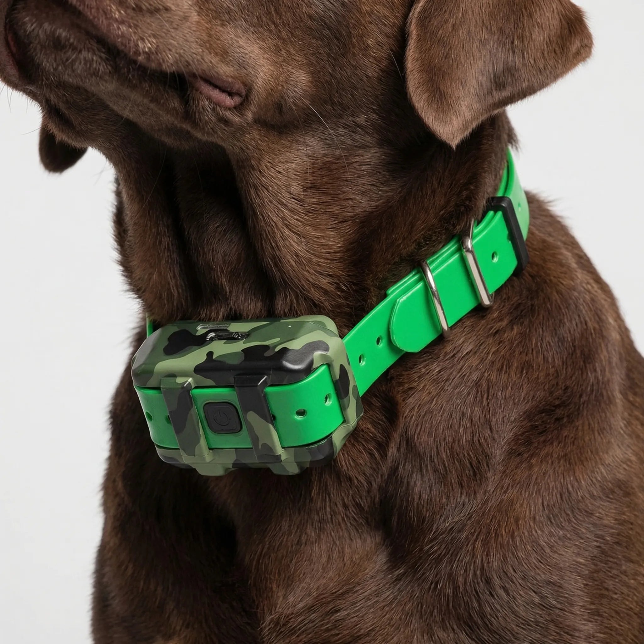 Nordspur | Roamguard 4G GPS Tracking And Training Collar