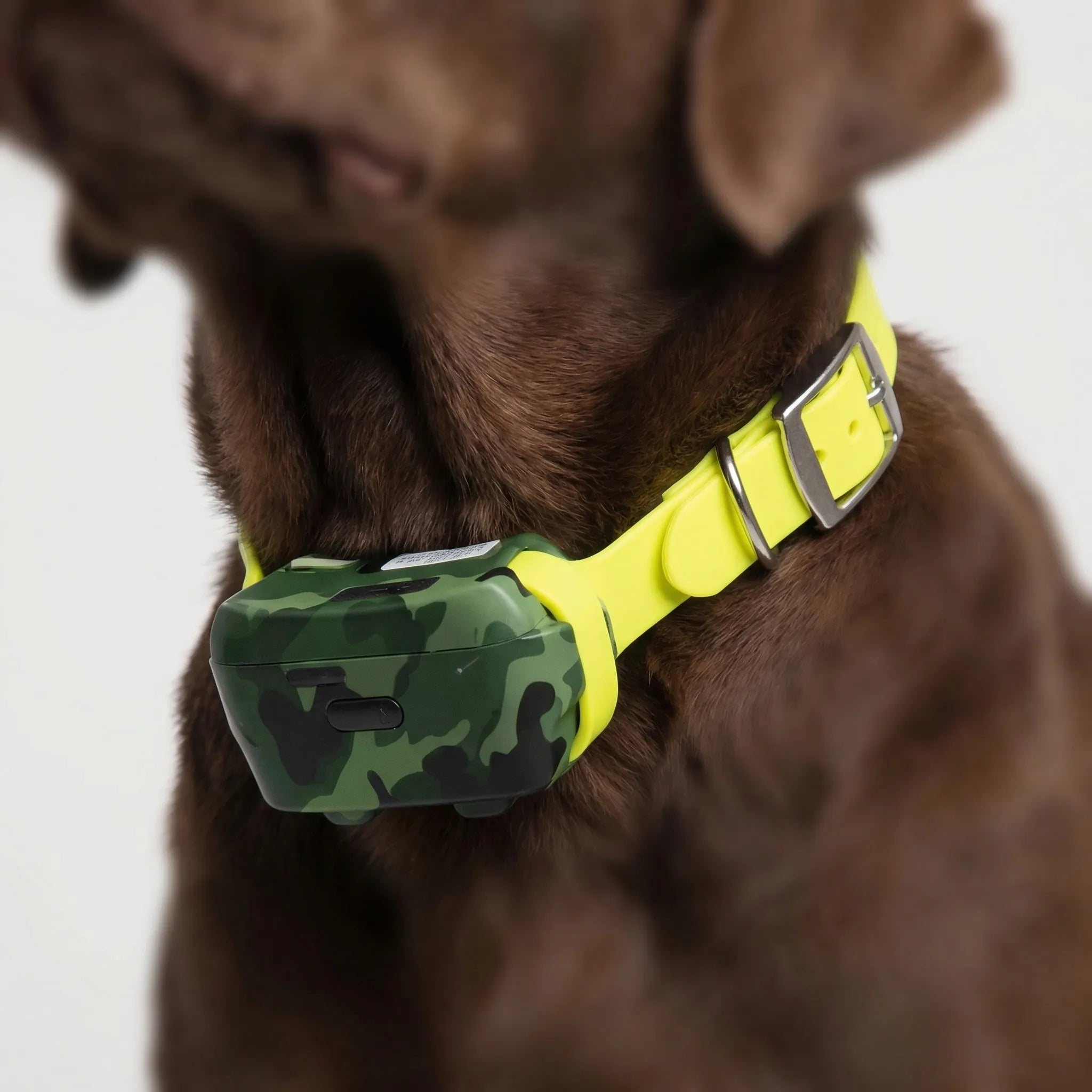 Nordspur | Roamguard 4G GPS Tracking And Training Collar