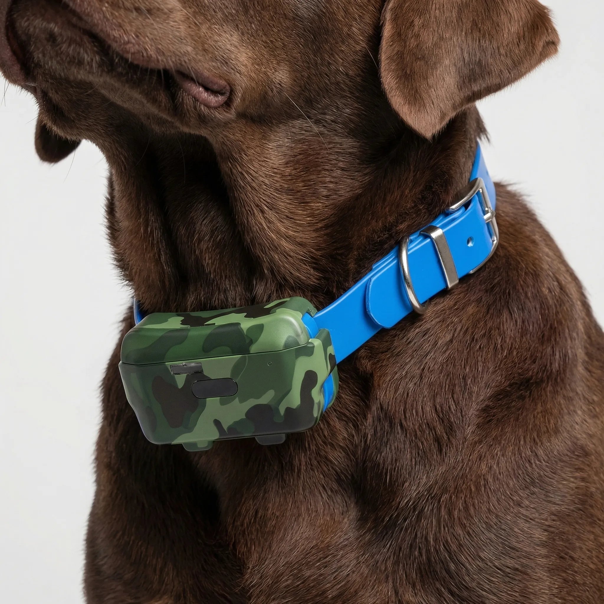 Nordspur | Roamguard 4G GPS Tracking And Training Collar