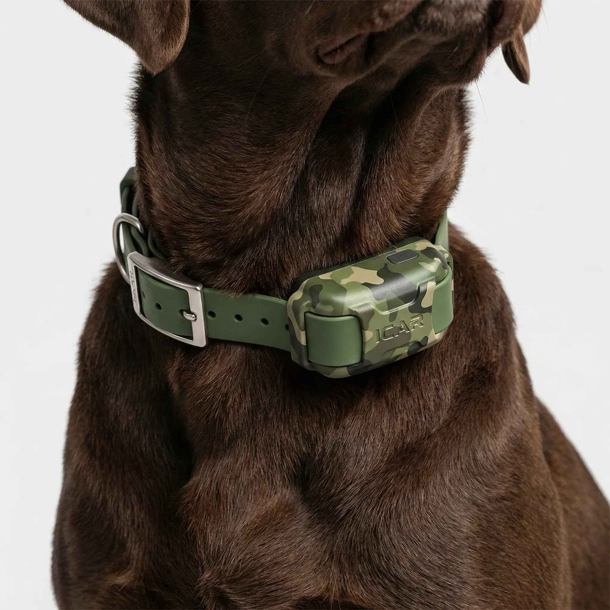 Nordspur | Roamguard 4G GPS Tracking And Training Collar
