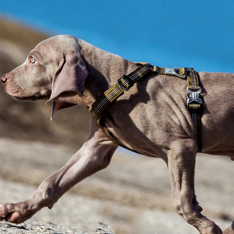 Nordspur | Roverpaw Adjustable Chest Strap Pet Harness Vest