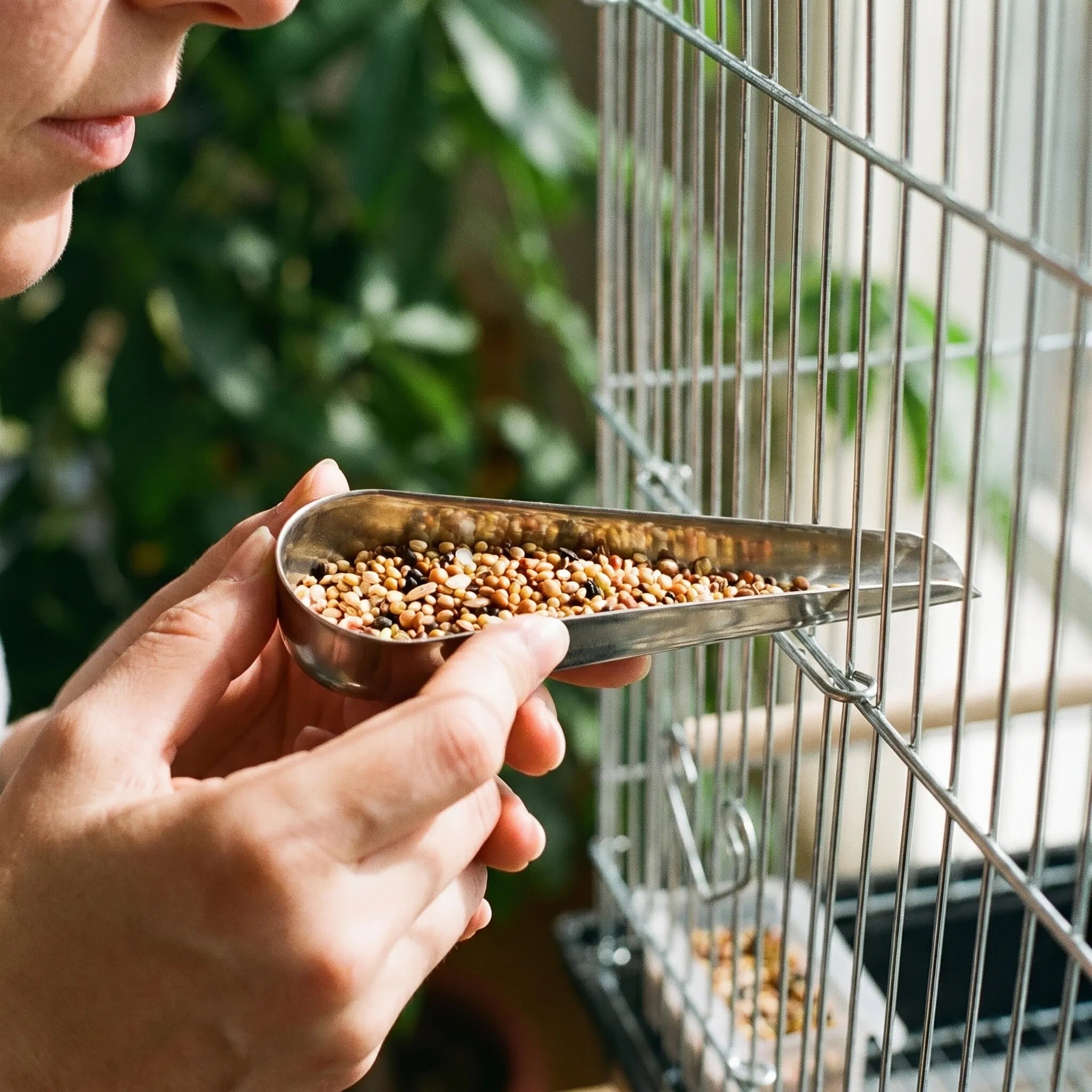 Nordspur | Scoopell Bird Cage Feeding Scoop