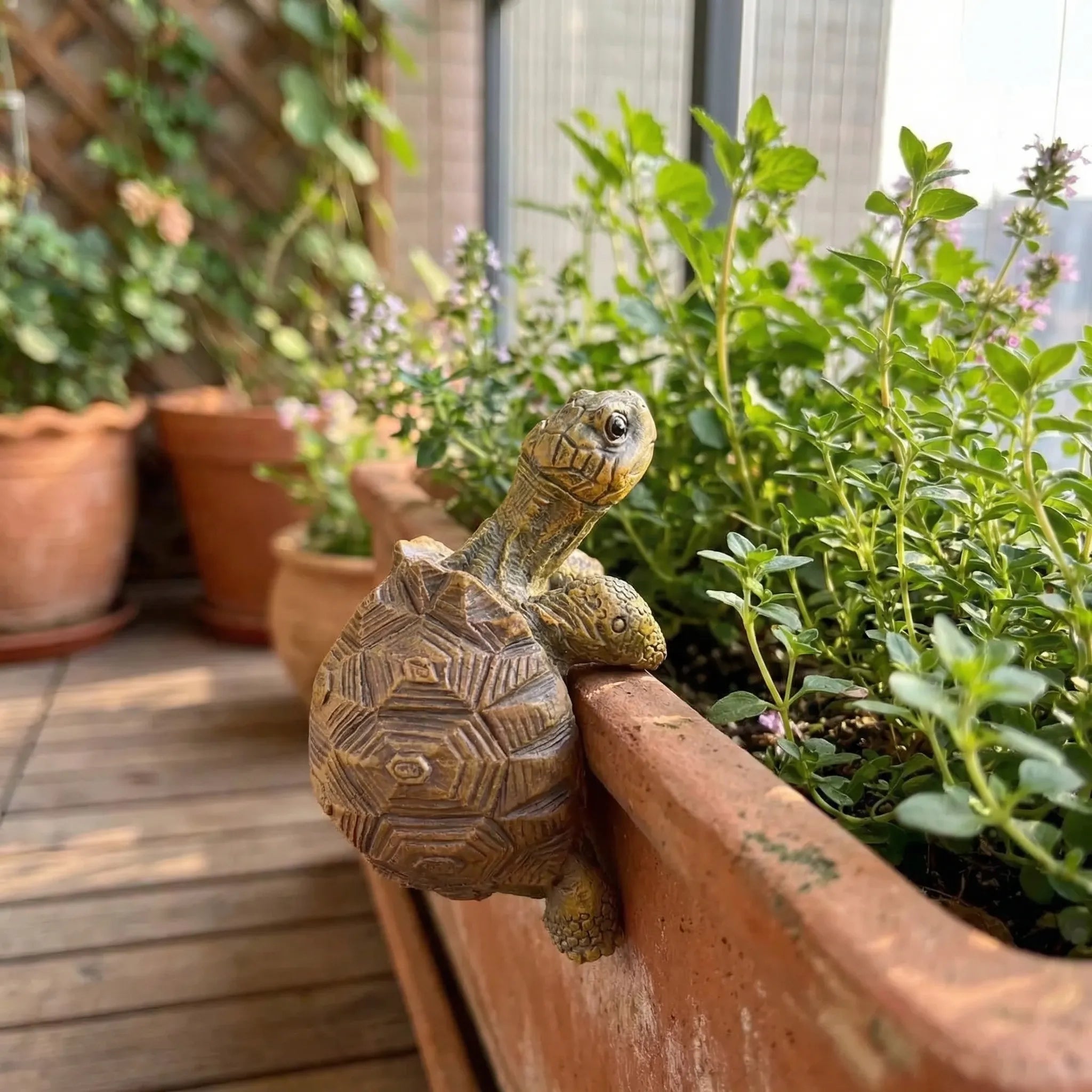 Nordspur | Shellgrip Miniature Pot-Hanging Tortoise Figurine