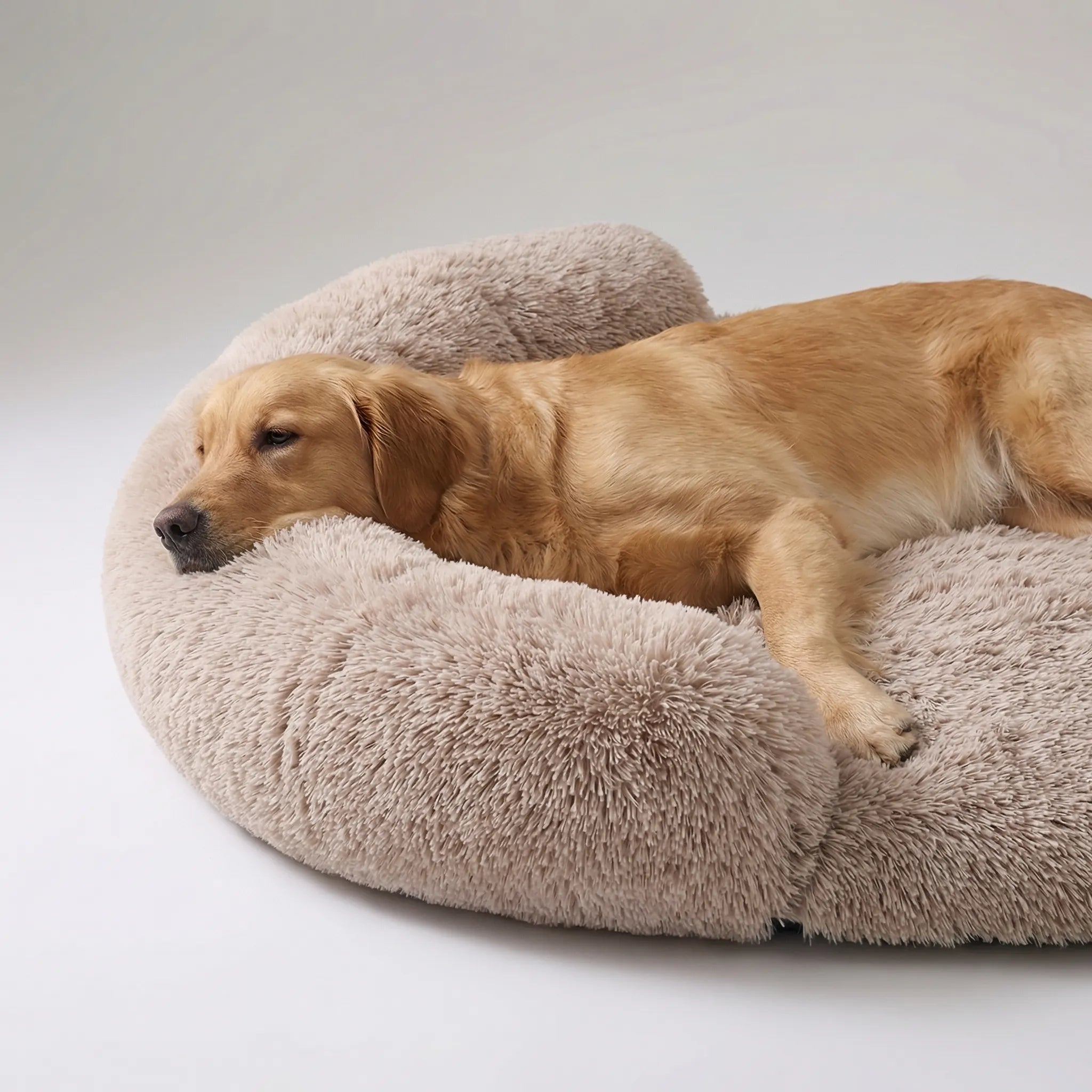Nordspur | Snoozepaw Orthopedic Egg Foam Dog Bed