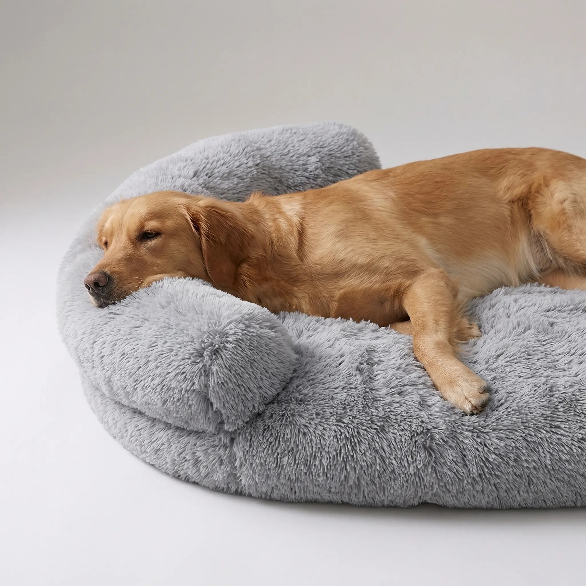 Nordspur | Snoozepaw Orthopedic Egg Foam Dog Bed