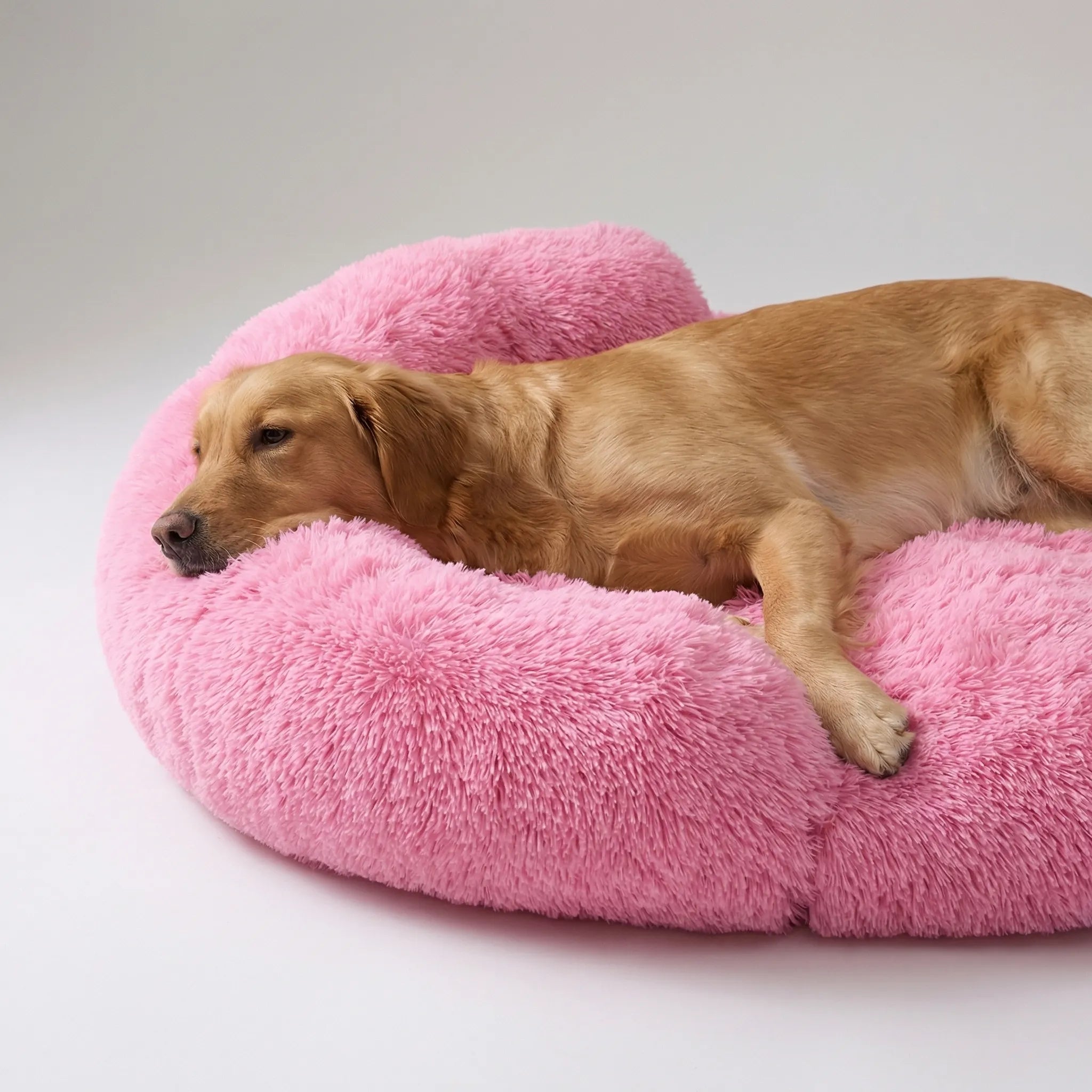 Nordspur | Snoozepaw Orthopedic Egg Foam Dog Bed