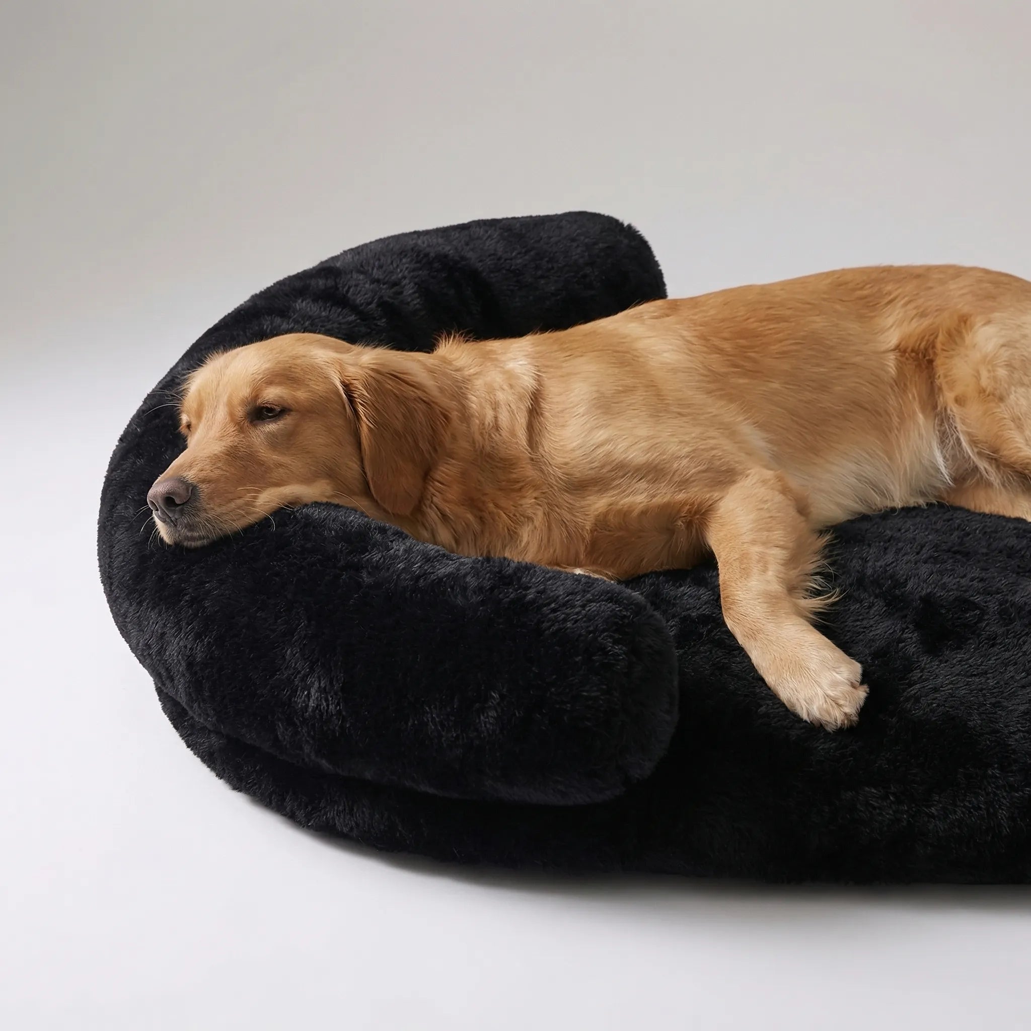 Nordspur | Snoozepaw Orthopedic Egg Foam Dog Bed