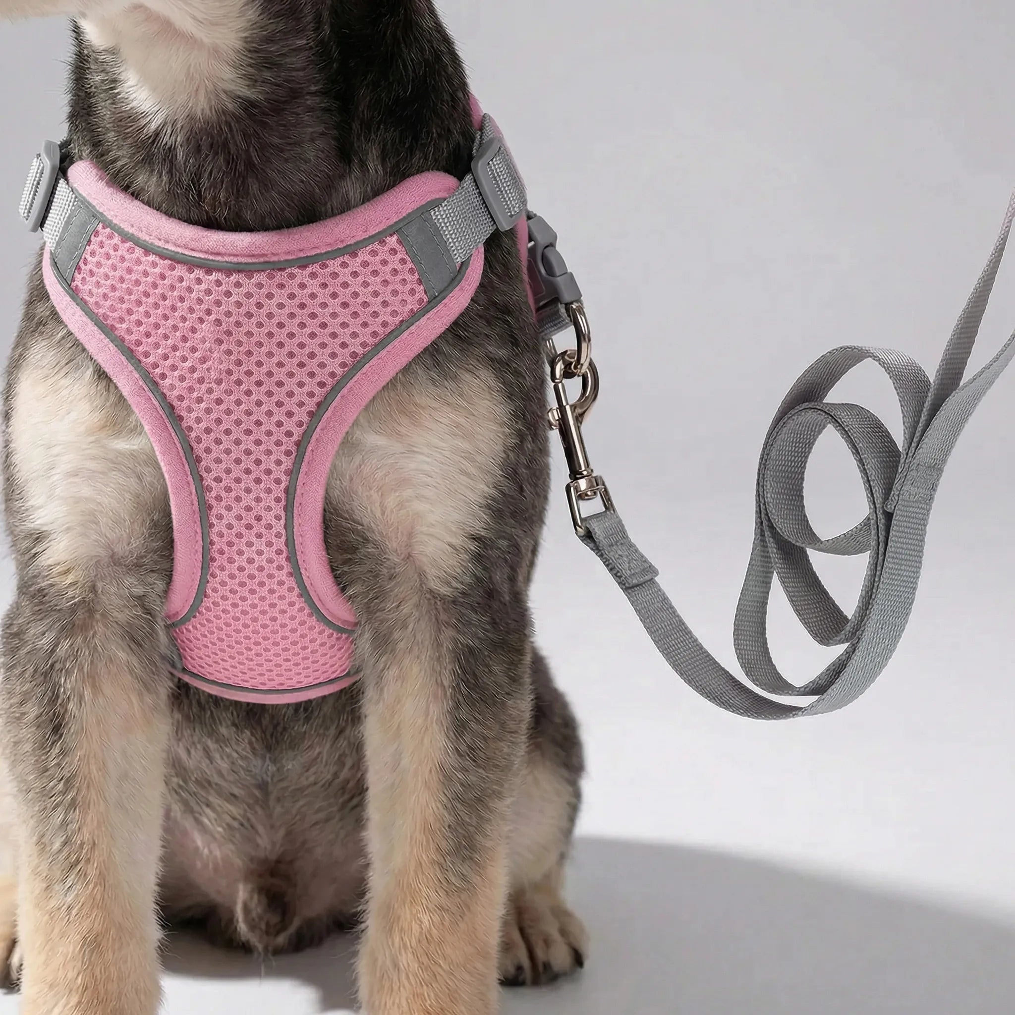 Nordspur | Snoutfit Adjustable Vest Harness With Matching Lead