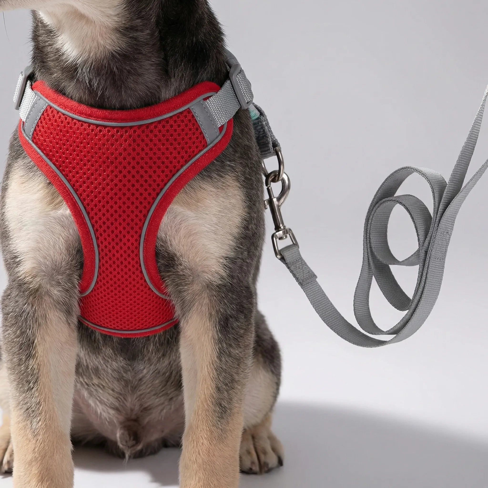 Nordspur | Snoutfit Adjustable Vest Harness With Matching Lead