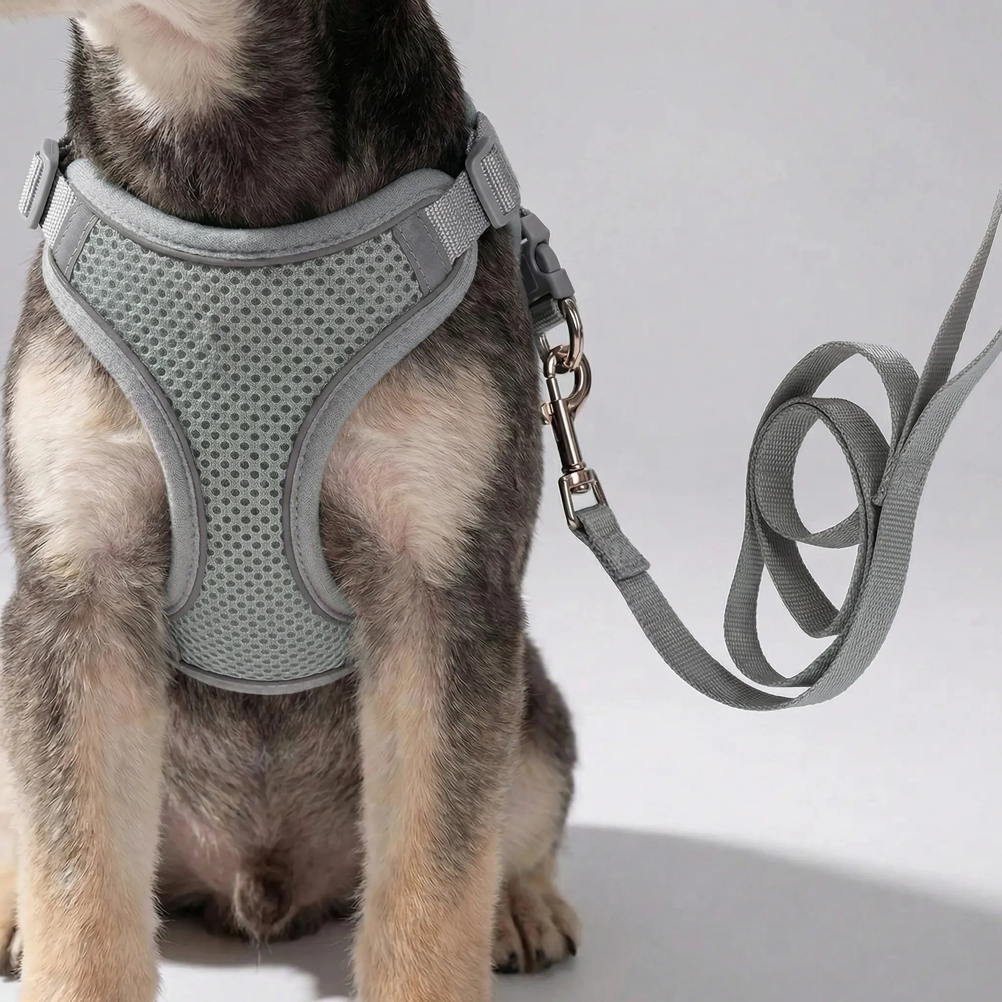 Nordspur | Snoutfit Adjustable Vest Harness With Matching Lead