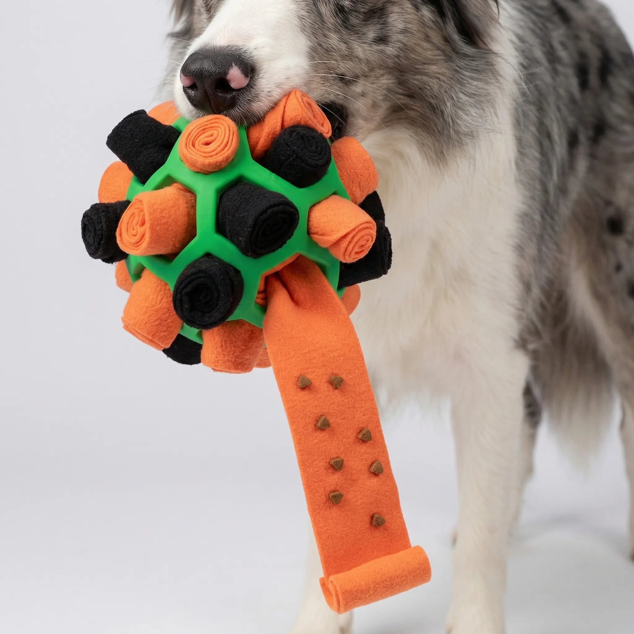 Interaktiver Schnüffelball für Hunde mit Leckerli-Taschen und Riemengriff